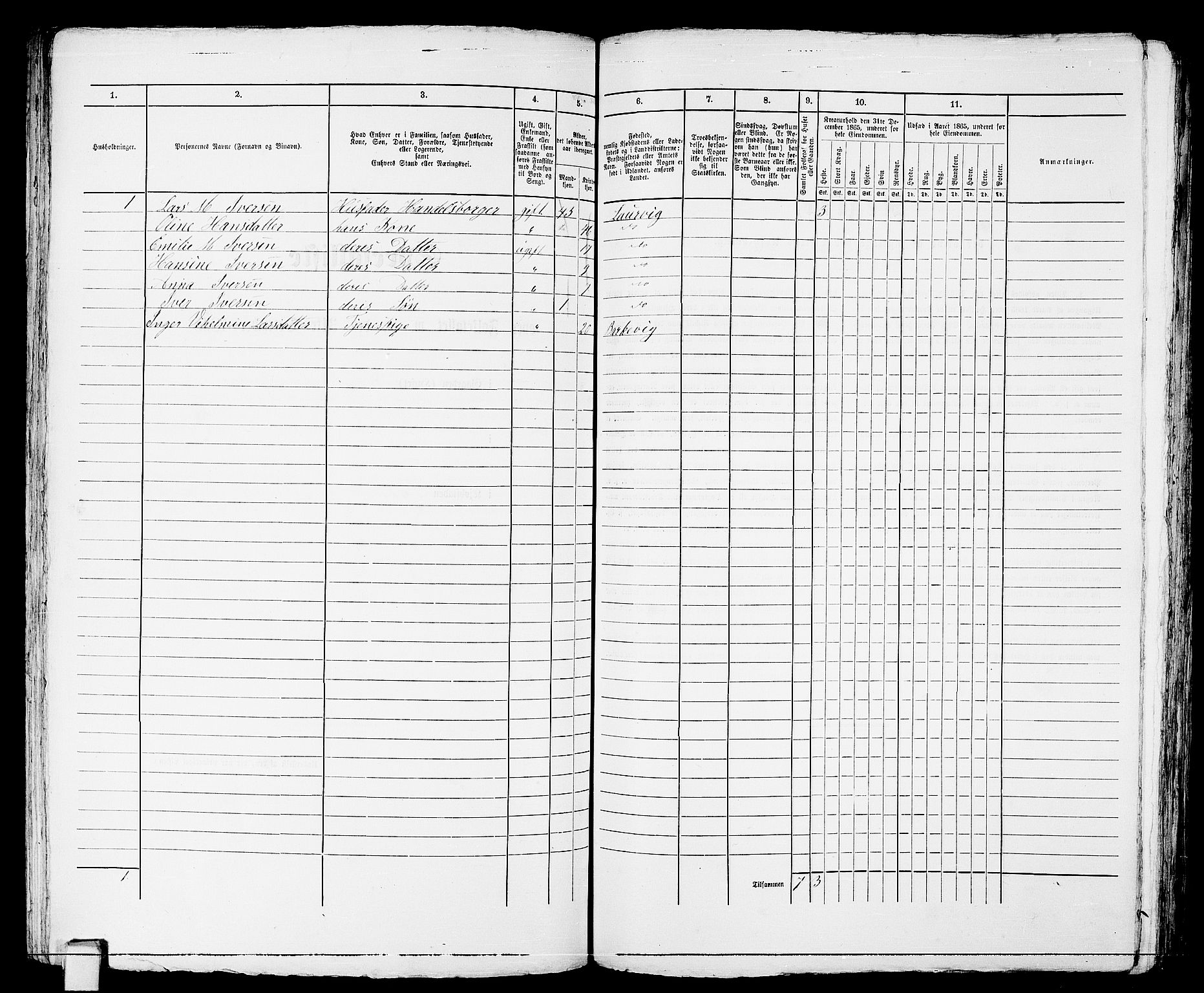 RA, 1865 census for Larvik, 1865, p. 258