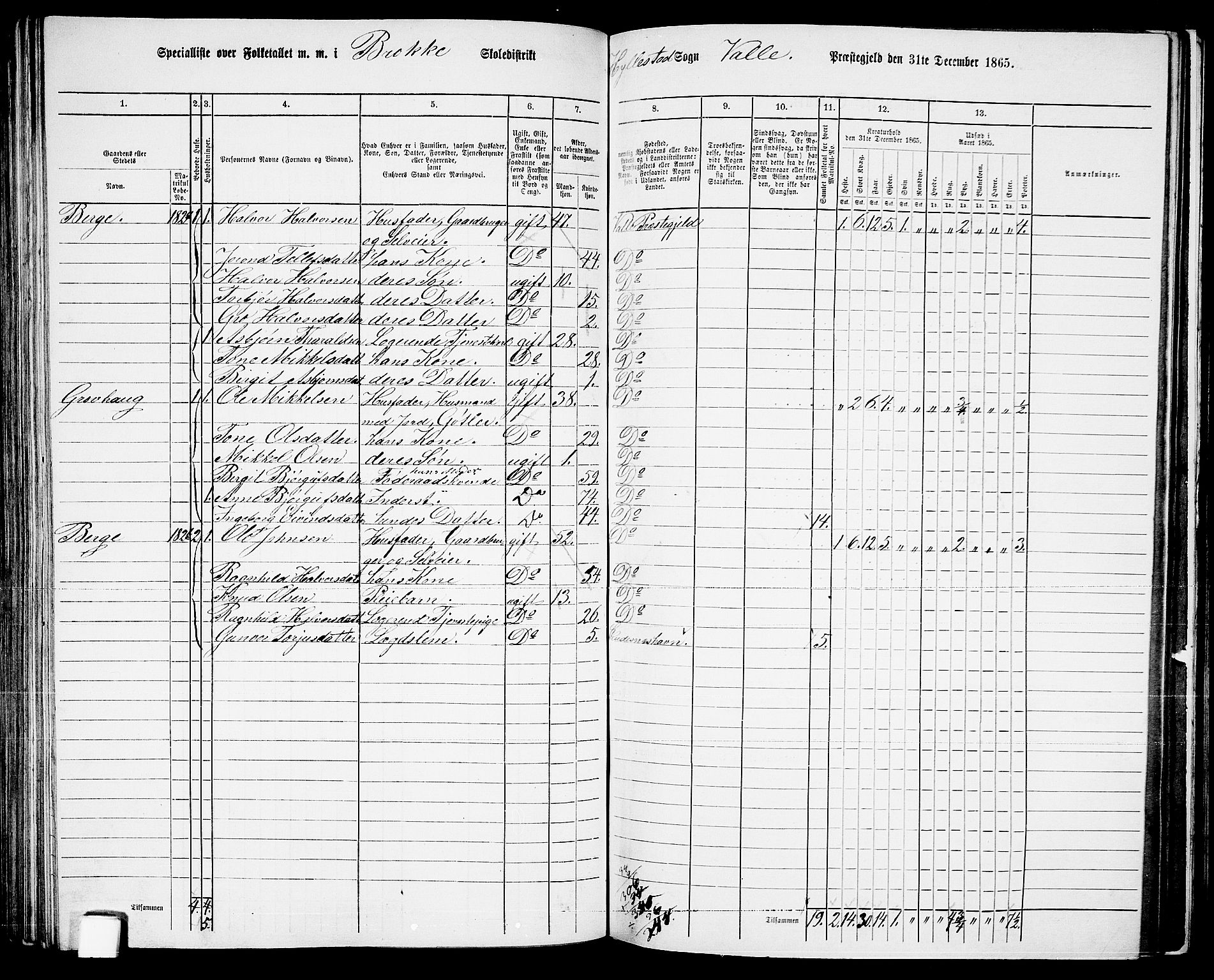 RA, 1865 census for Valle, 1865, p. 109