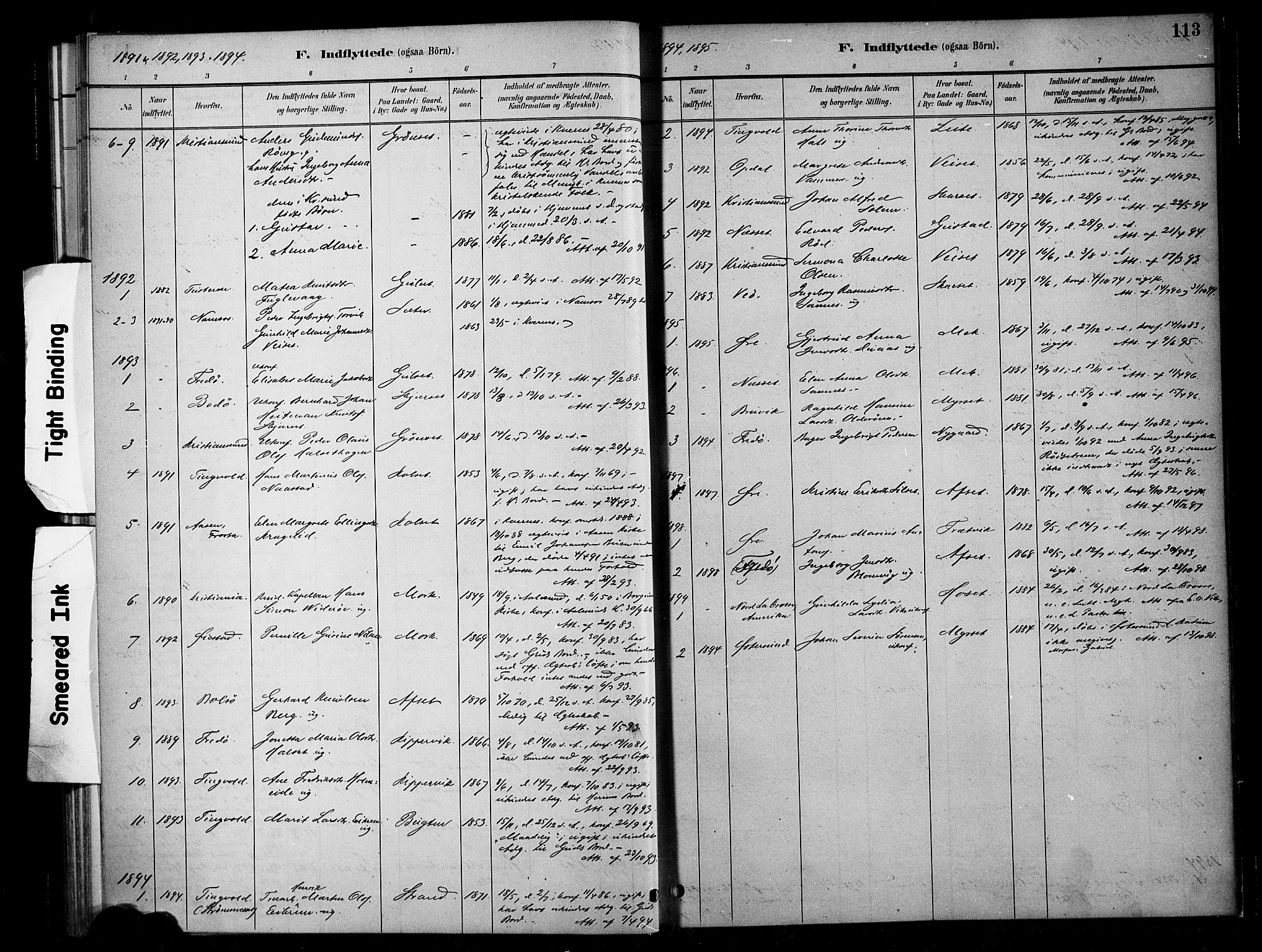 Ministerialprotokoller, klokkerbøker og fødselsregistre - Møre og Romsdal, SAT/A-1454/568/L0809: Parish register (official) no. 568A13, 1884-1900, p. 113