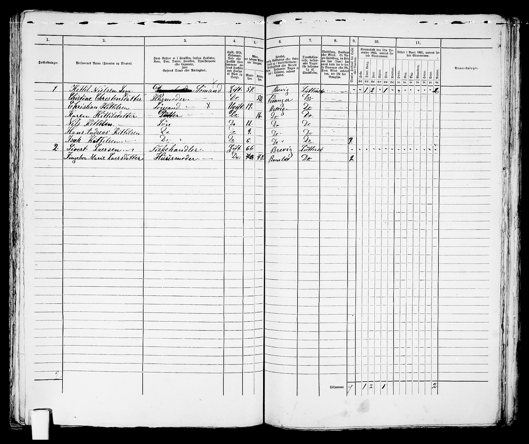 RA, 1865 census for Brevik, 1865, p. 301