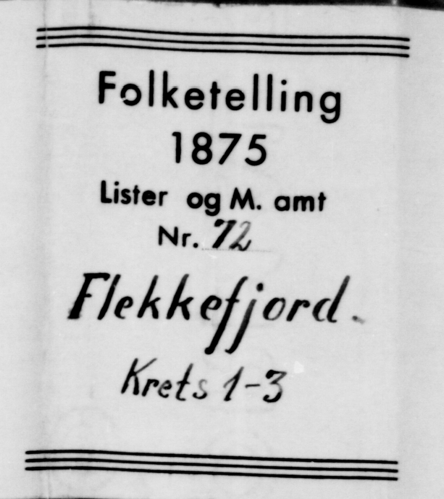 SAK, 1875 census for 1004B Flekkefjord/Flekkefjord, 1875, p. 9