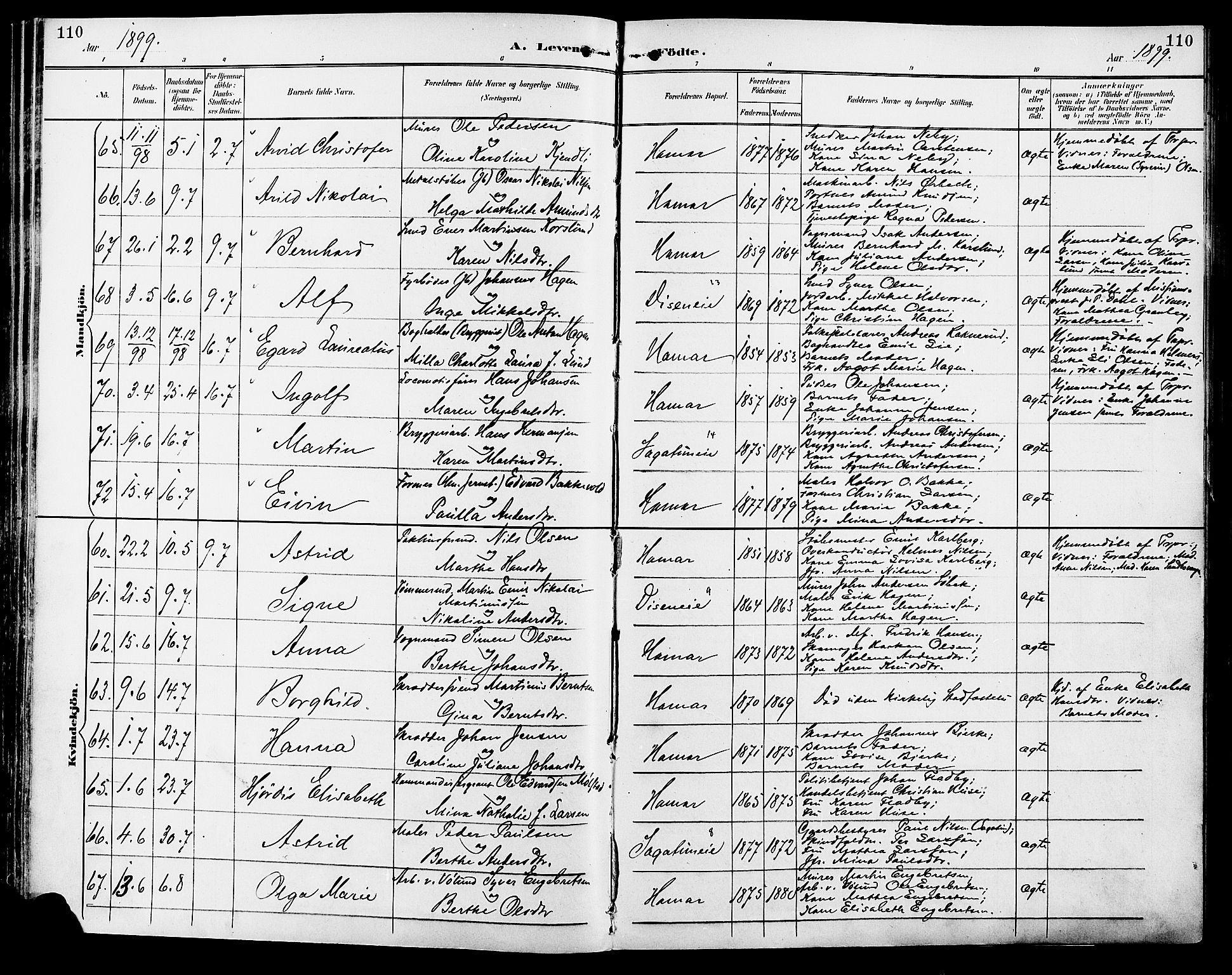 Vang prestekontor, Hedmark, SAH/PREST-008/H/Ha/Haa/L0017: Parish register (official) no. 17, 1890-1899, p. 110