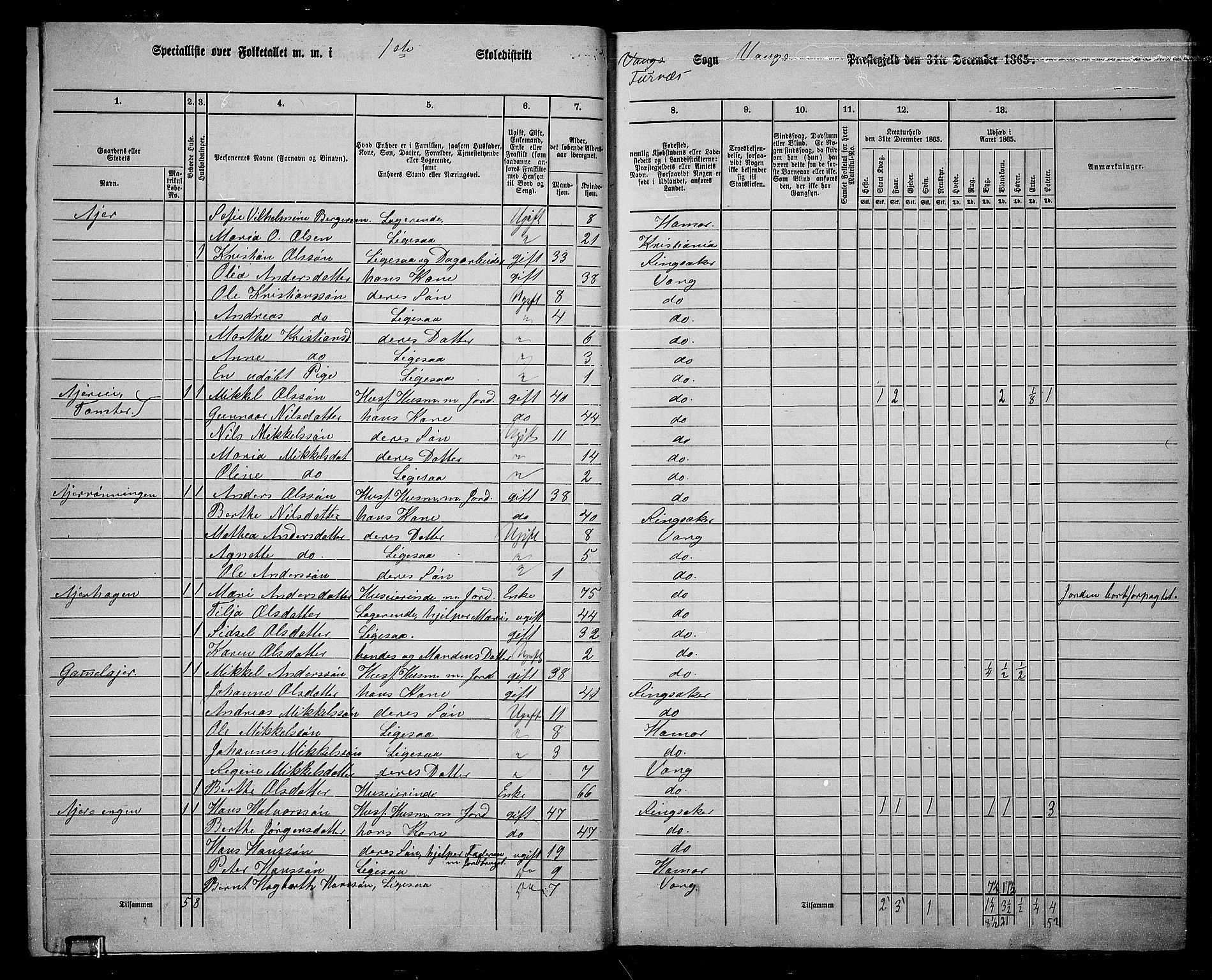 RA, 1865 census for Vang/Vang og Furnes, 1865, p. 153