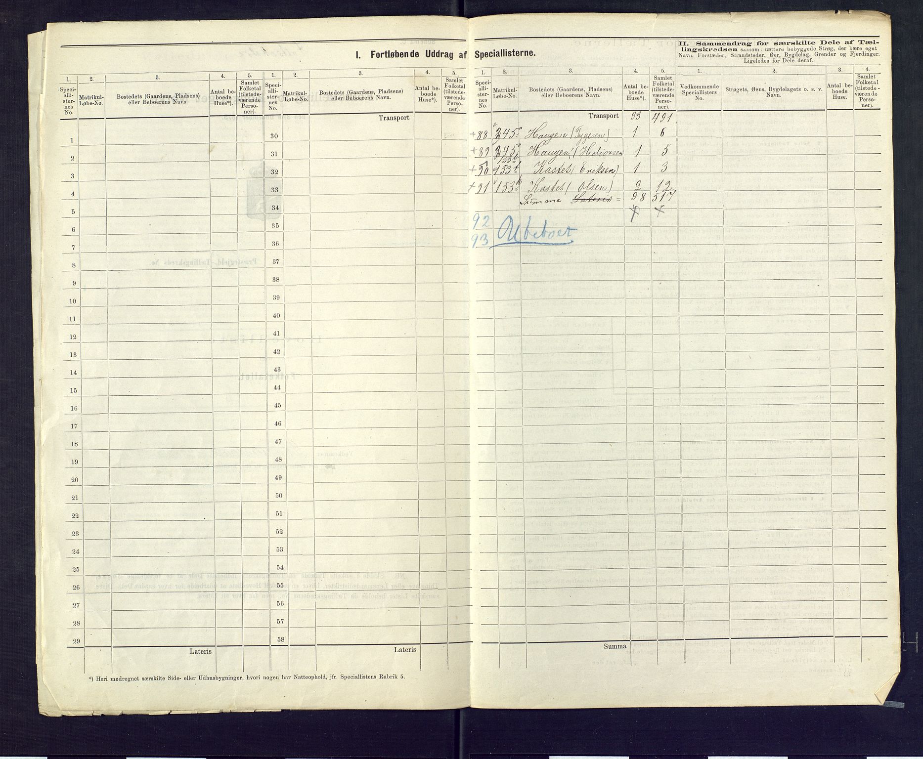 SAKO, 1875 census for 0616P Nes, 1875, p. 13