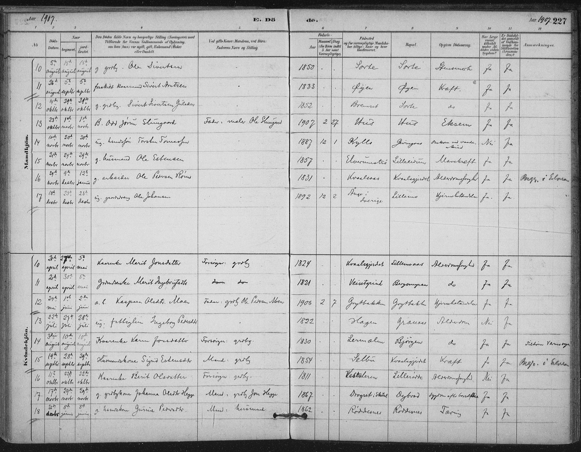 Ministerialprotokoller, klokkerbøker og fødselsregistre - Nord-Trøndelag, SAT/A-1458/710/L0095: Parish register (official) no. 710A01, 1880-1914, p. 227