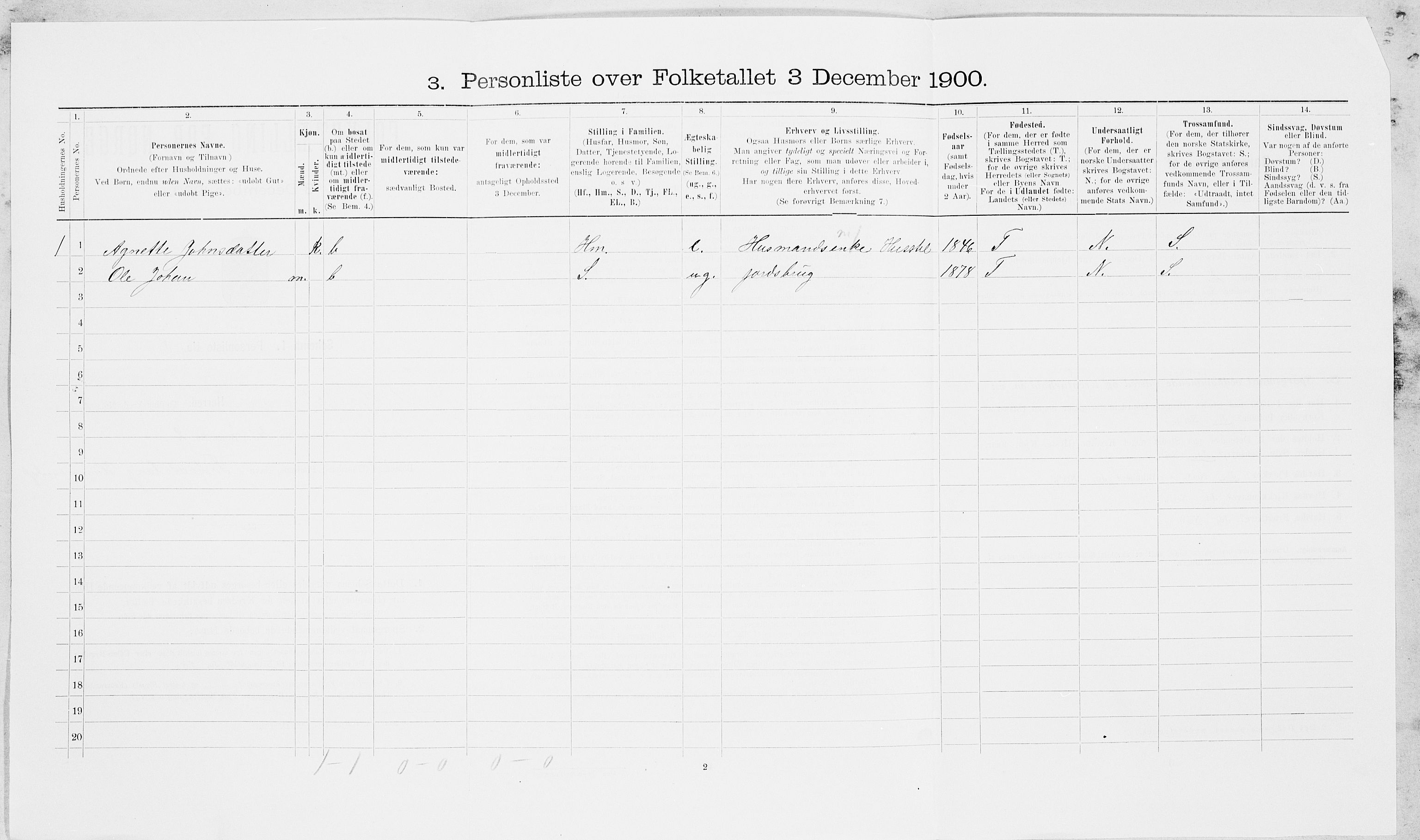 SAT, 1900 census for Nedre Stjørdal, 1900, p. 411