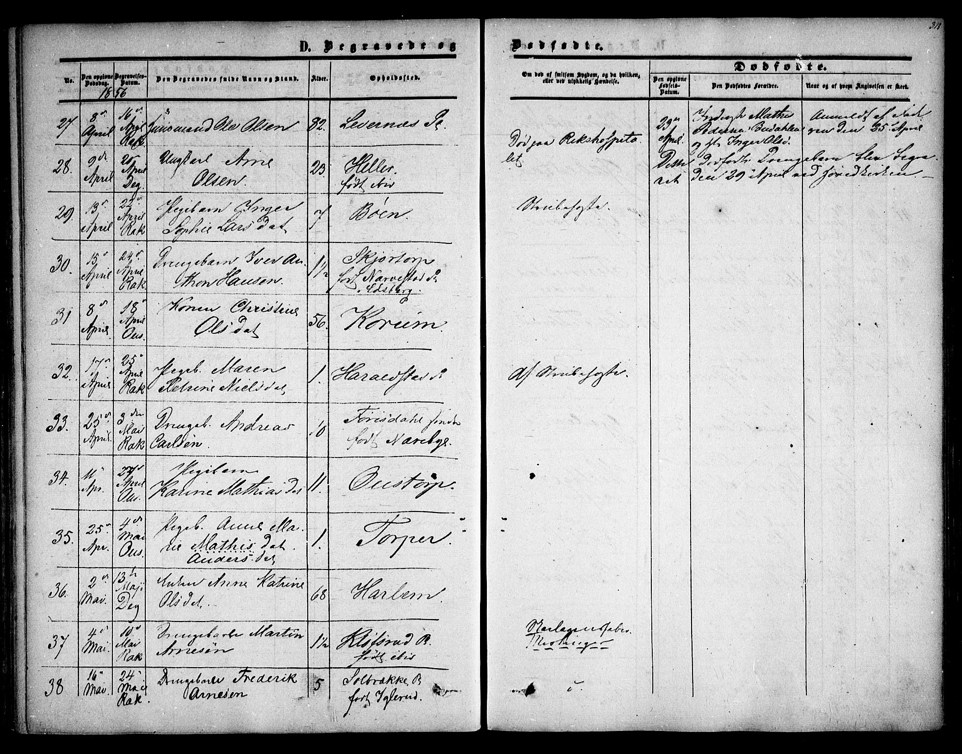 Rakkestad prestekontor Kirkebøker, AV/SAO-A-2008/F/Fa/L0009: Parish register (official) no. I 9, 1850-1856, p. 313