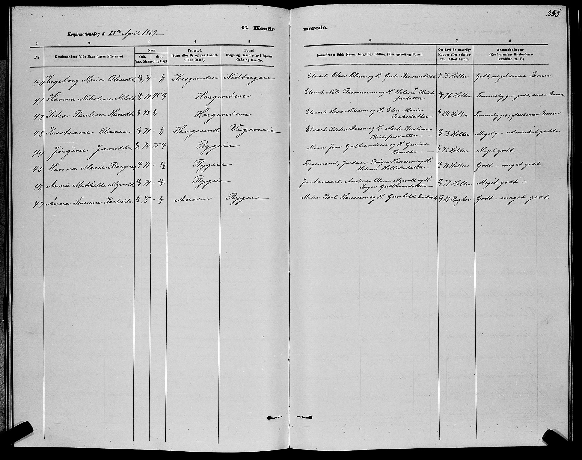 Nedre Eiker kirkebøker, AV/SAKO-A-612/G/Ga/L0002: Parish register (copy) no. 2, 1880-1896, p. 253