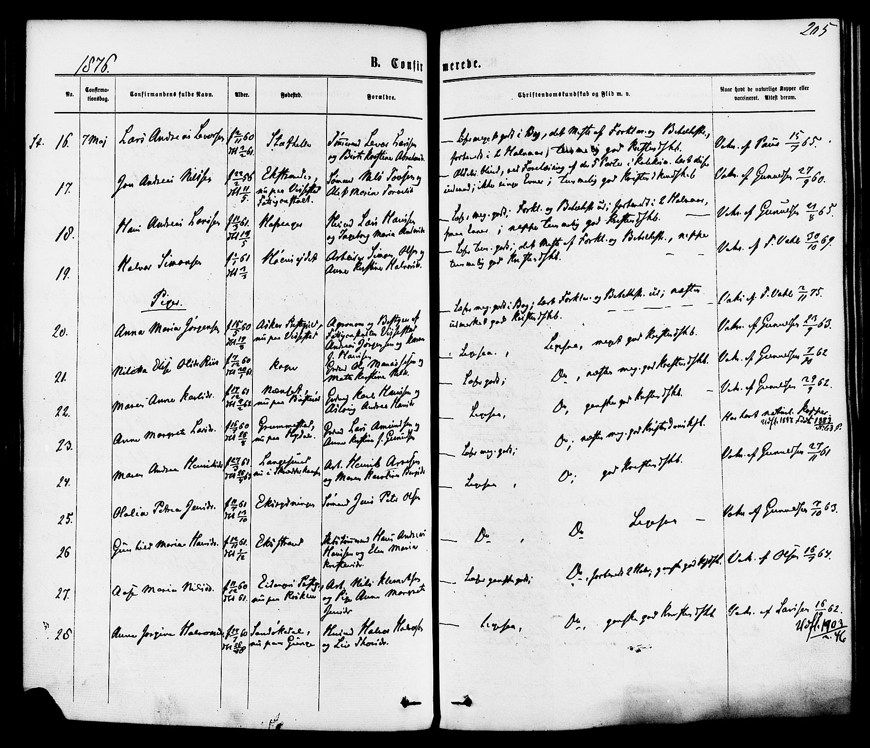 Bamble kirkebøker, SAKO/A-253/F/Fa/L0006: Parish register (official) no. I 6, 1869-1877, p. 205