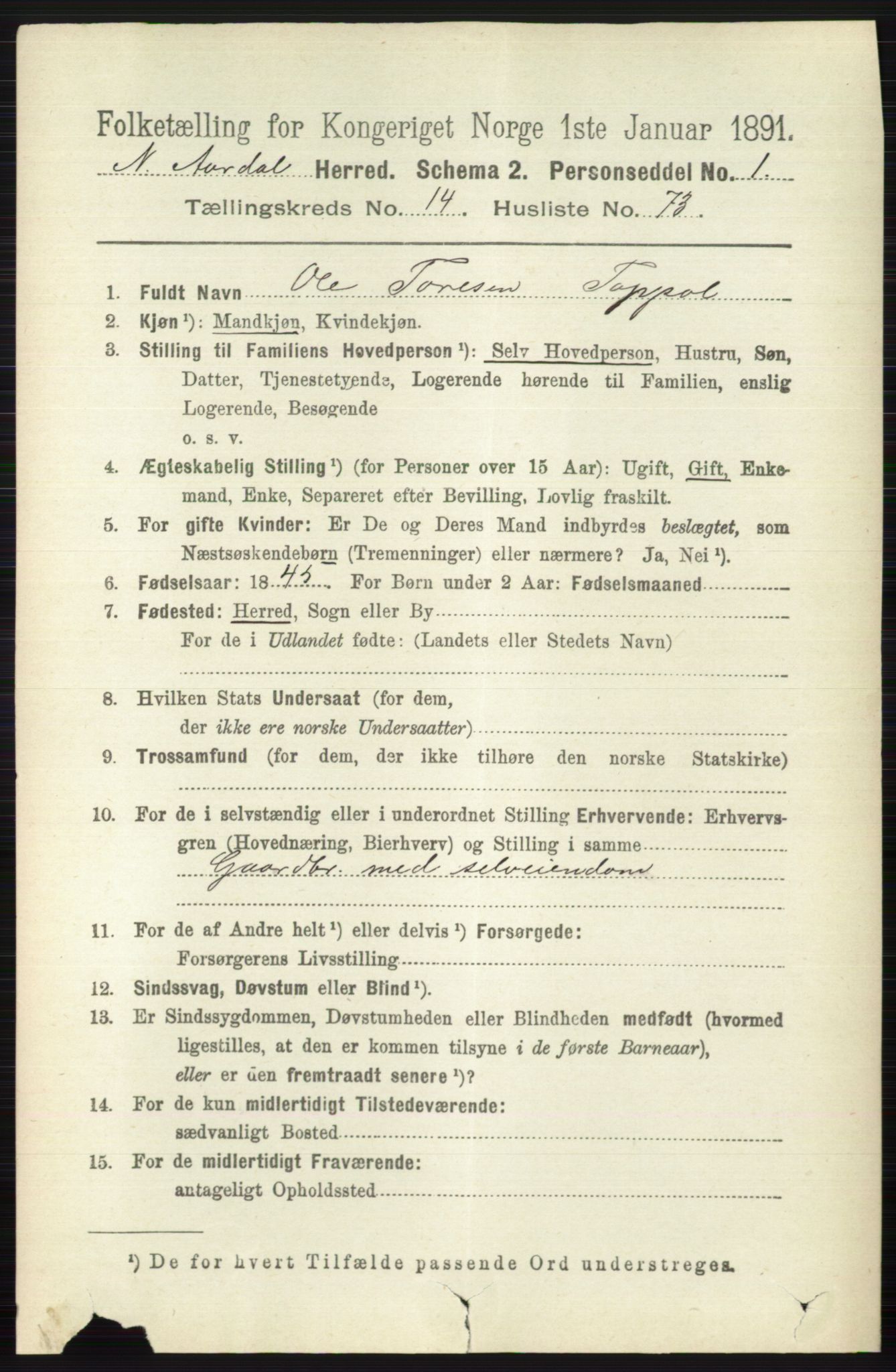 RA, 1891 census for 0542 Nord-Aurdal, 1891, p. 5665