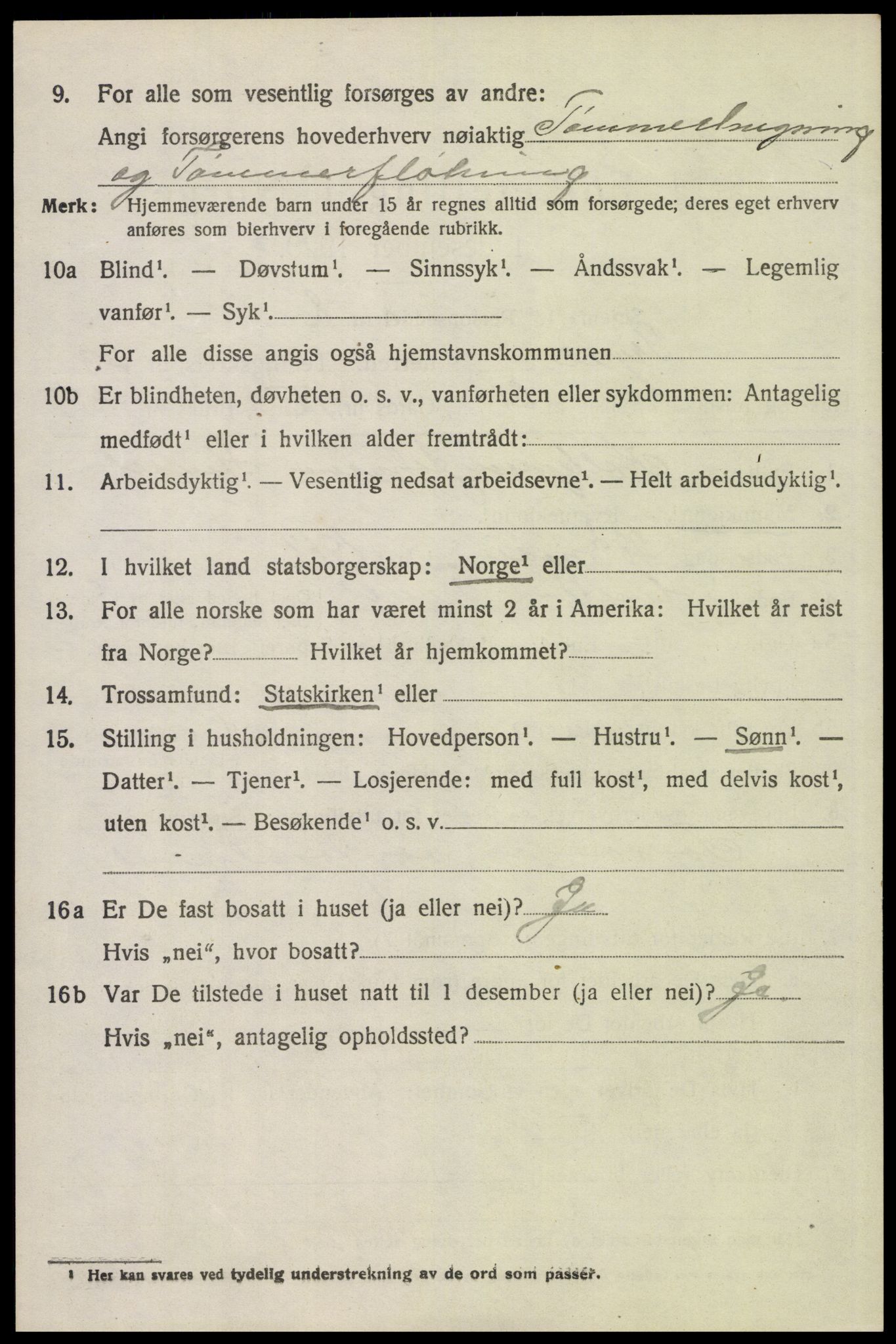 SAH, 1920 census for Trysil, 1920, p. 15108