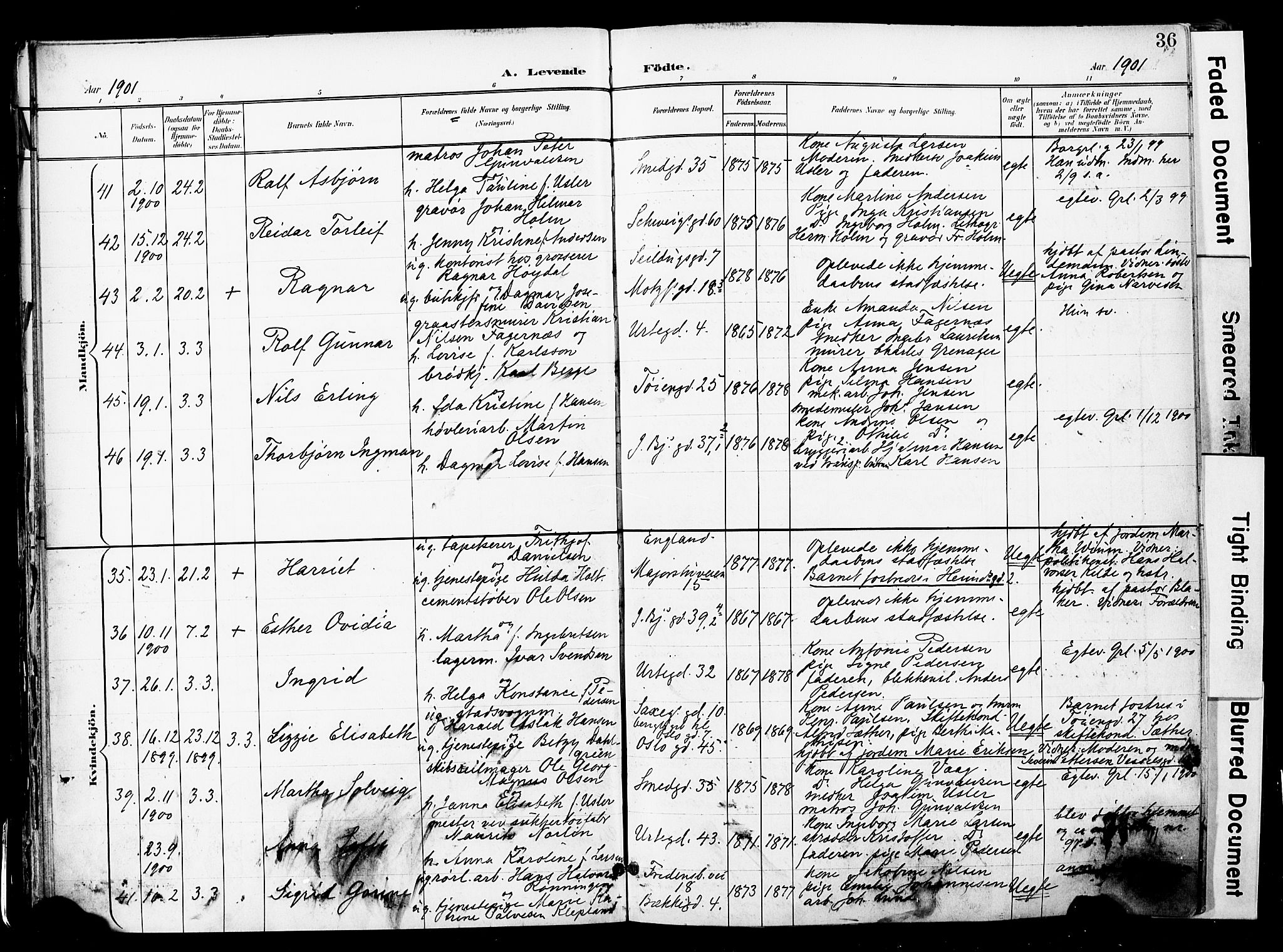 Grønland prestekontor Kirkebøker, AV/SAO-A-10848/F/Fa/L0014: Parish register (official) no. 14, 1900-1911, p. 36