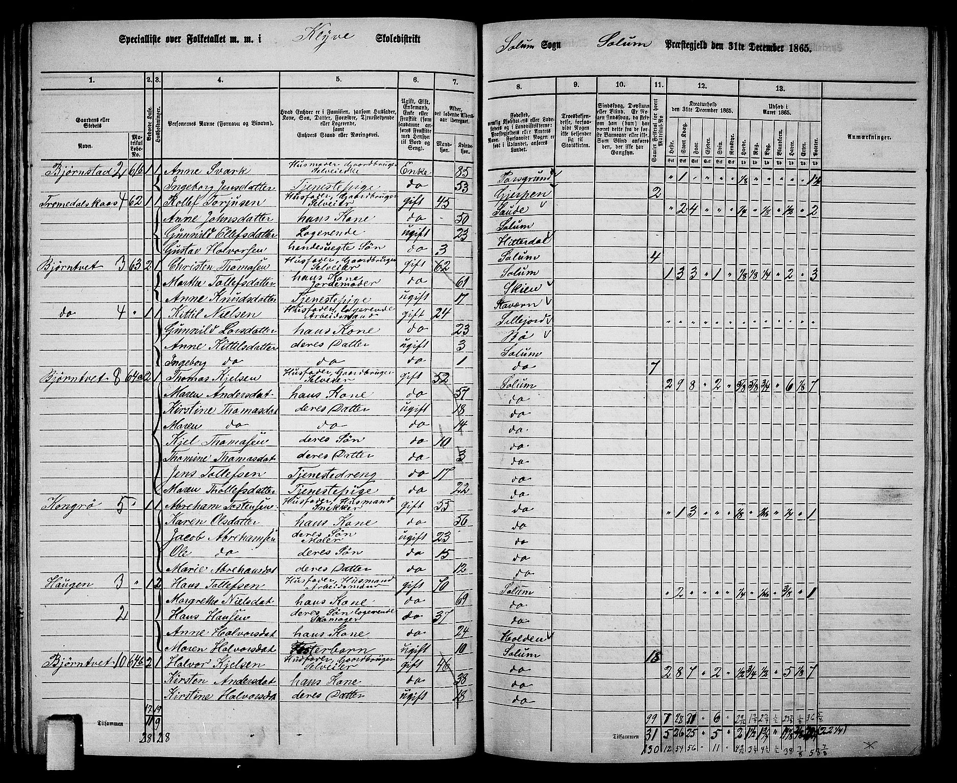 RA, 1865 census for Solum, 1865, p. 74