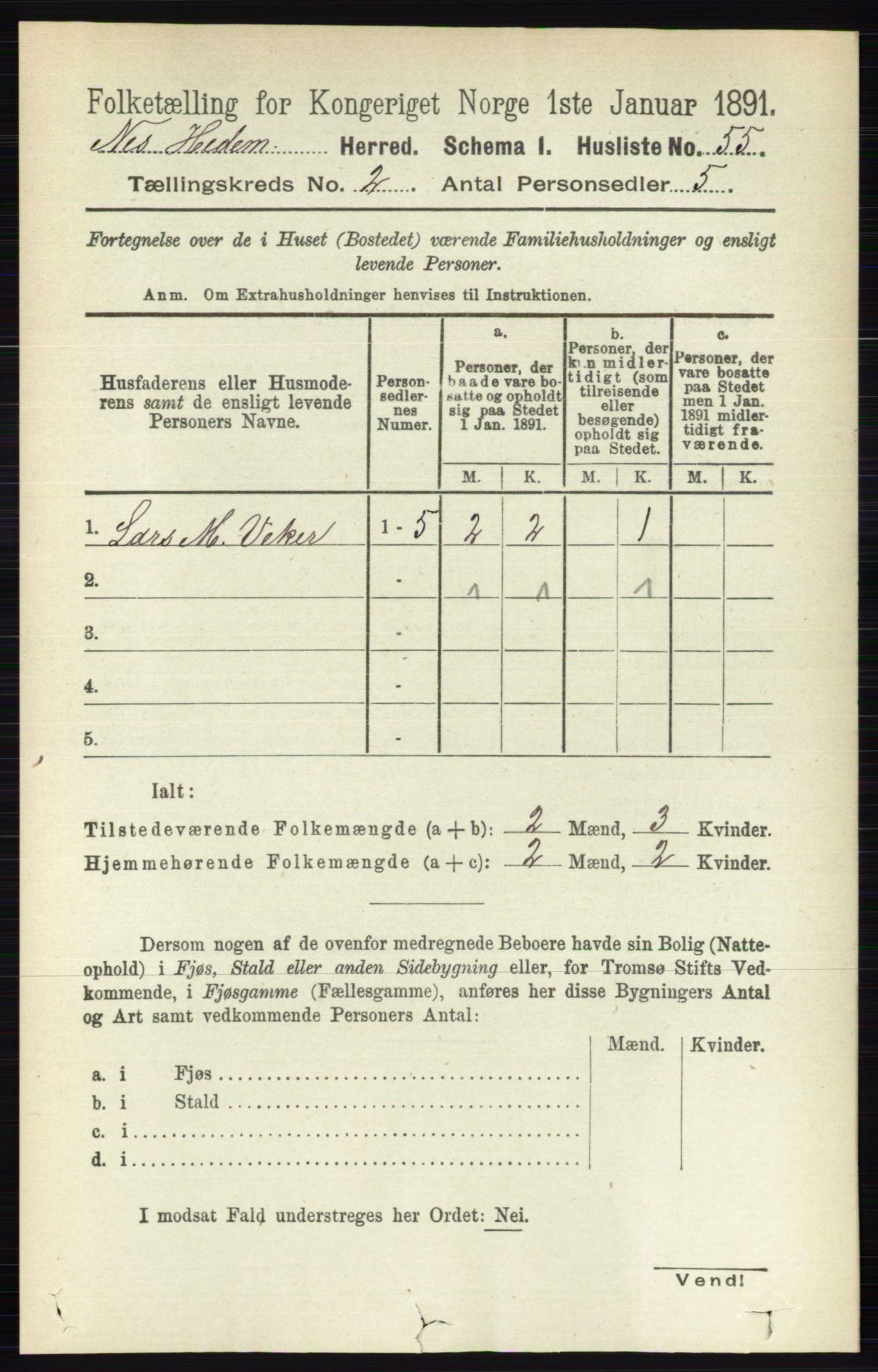 RA, 1891 census for 0411 Nes, 1891, p. 1059