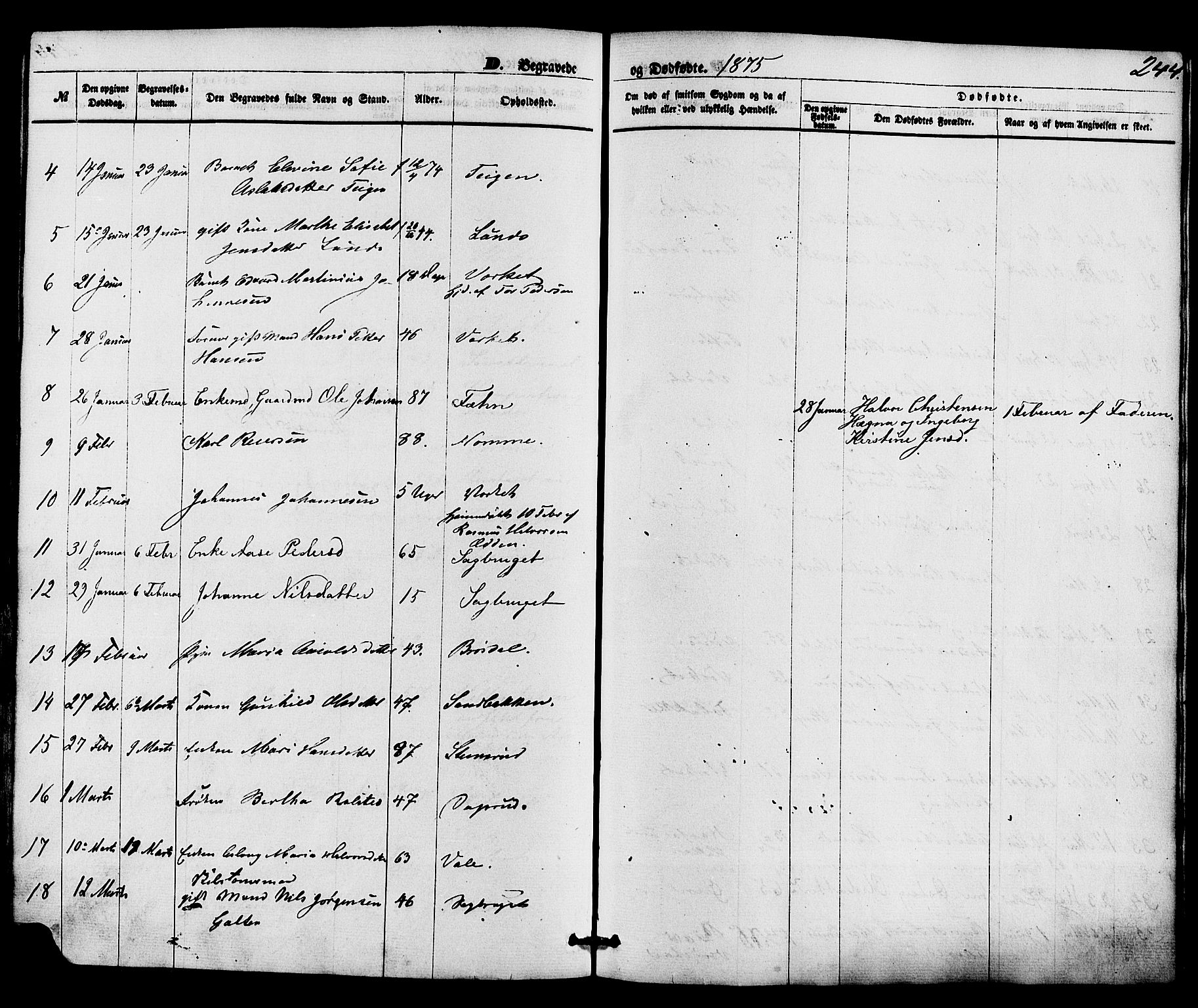 Holla kirkebøker, SAKO/A-272/F/Fa/L0007: Parish register (official) no. 7, 1869-1881, p. 244