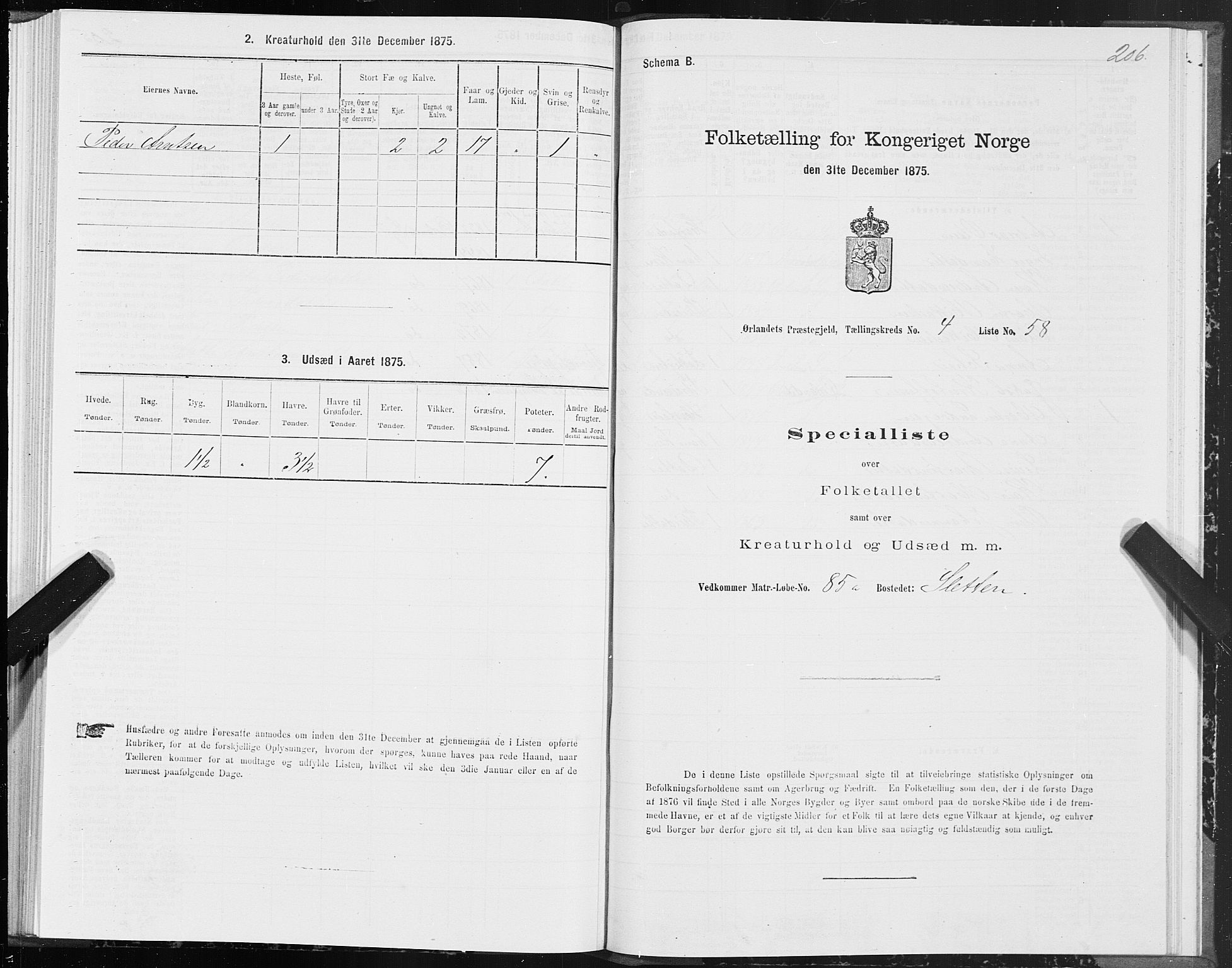 SAT, 1875 census for 1621P Ørland, 1875, p. 2206