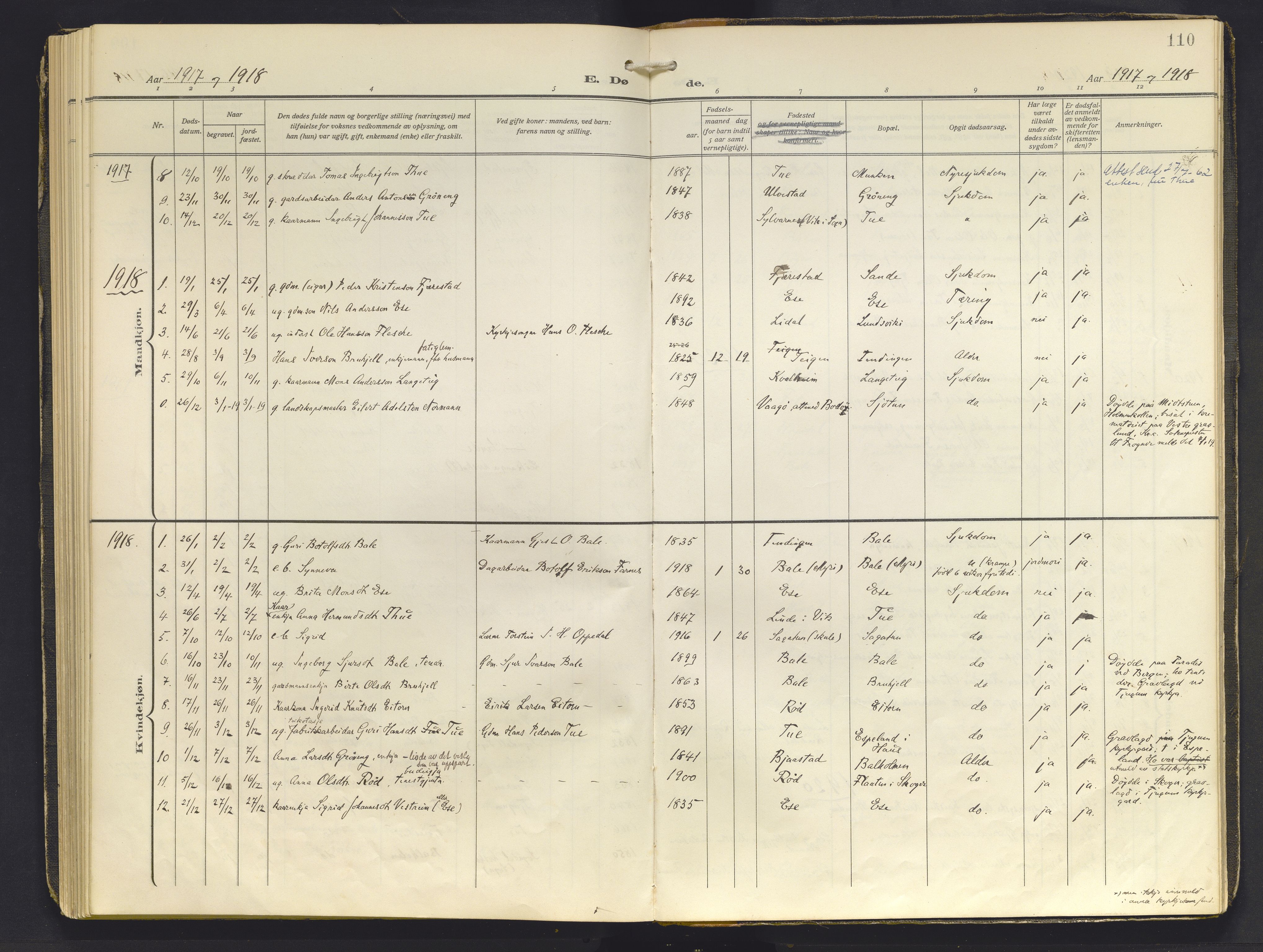 Balestrand sokneprestembete, AV/SAB-A-79601/H/Haa/Haab/L0002: Parish register (official) no. B 2, 1911-1932, p. 110