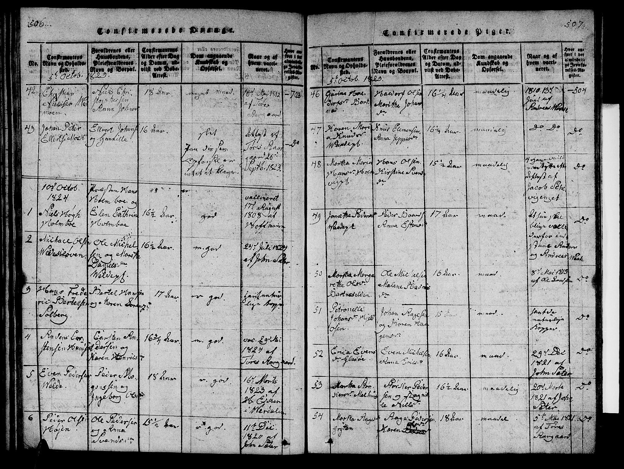 Ministerialprotokoller, klokkerbøker og fødselsregistre - Nord-Trøndelag, SAT/A-1458/741/L0400: Parish register (copy) no. 741C01, 1817-1825, p. 506-507