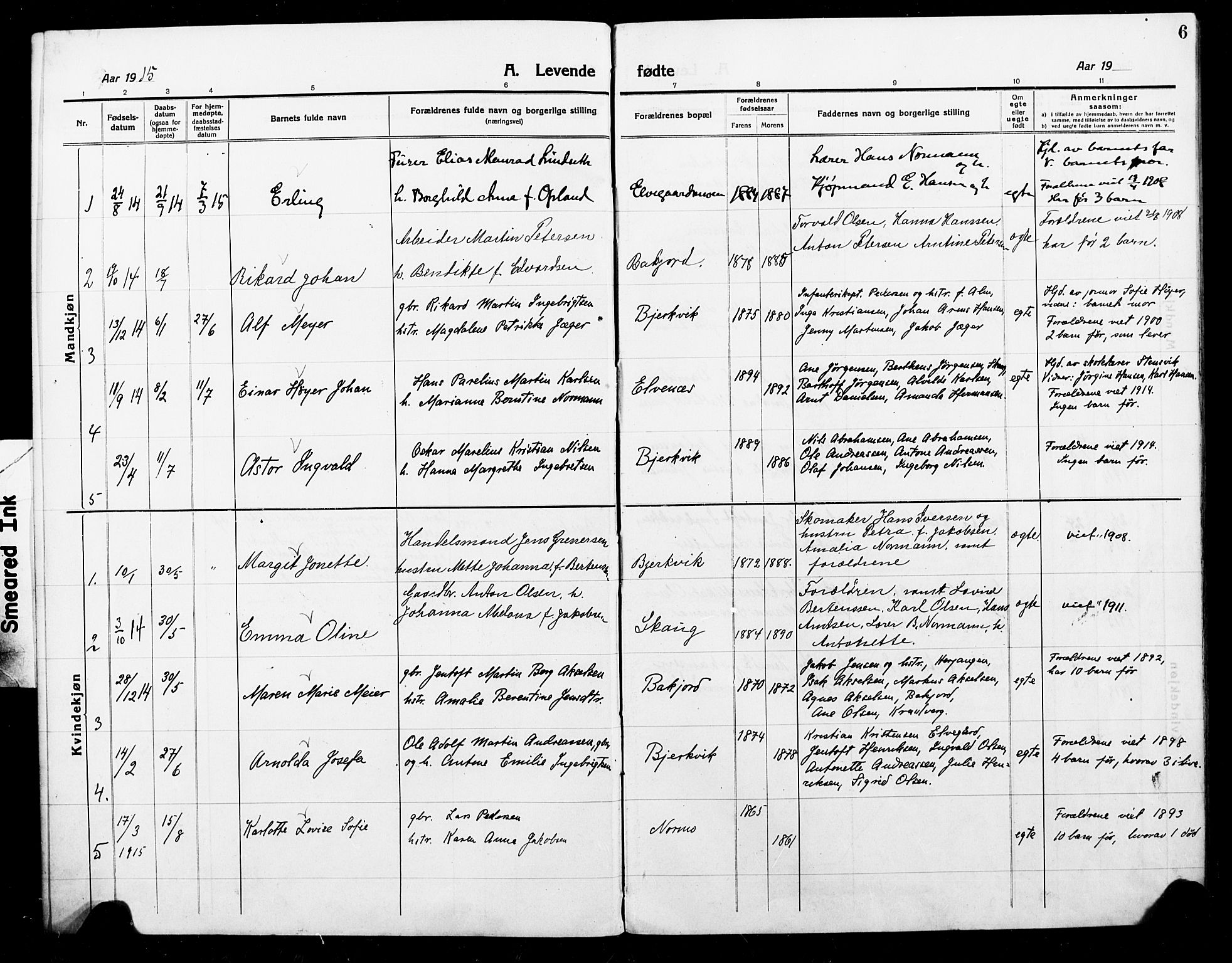 Ministerialprotokoller, klokkerbøker og fødselsregistre - Nordland, AV/SAT-A-1459/868/L0969: Parish register (copy) no. 868C01, 1914-1925, p. 6