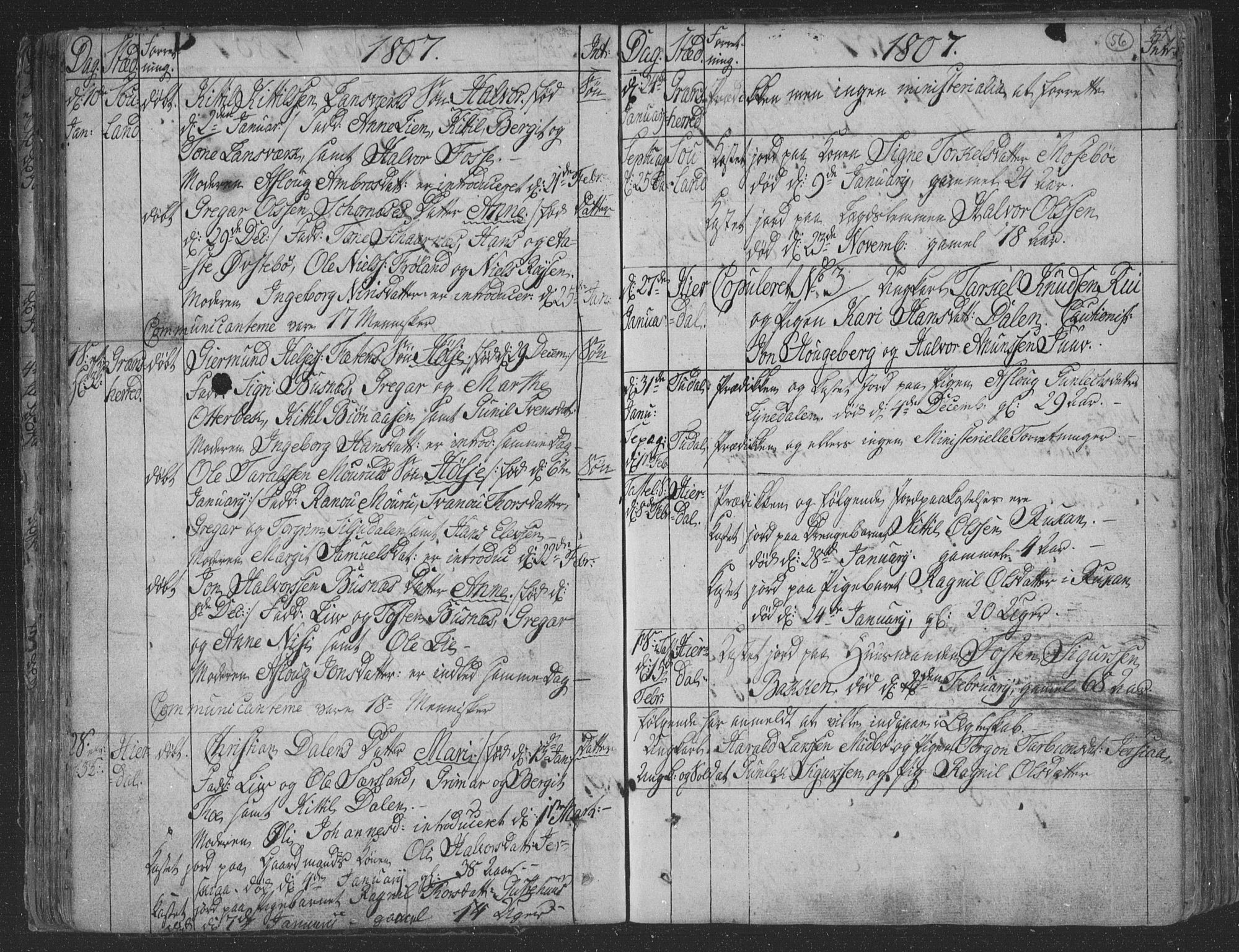 Hjartdal kirkebøker, AV/SAKO-A-270/F/Fa/L0006: Parish register (official) no. I 6, 1801-1814, p. 56