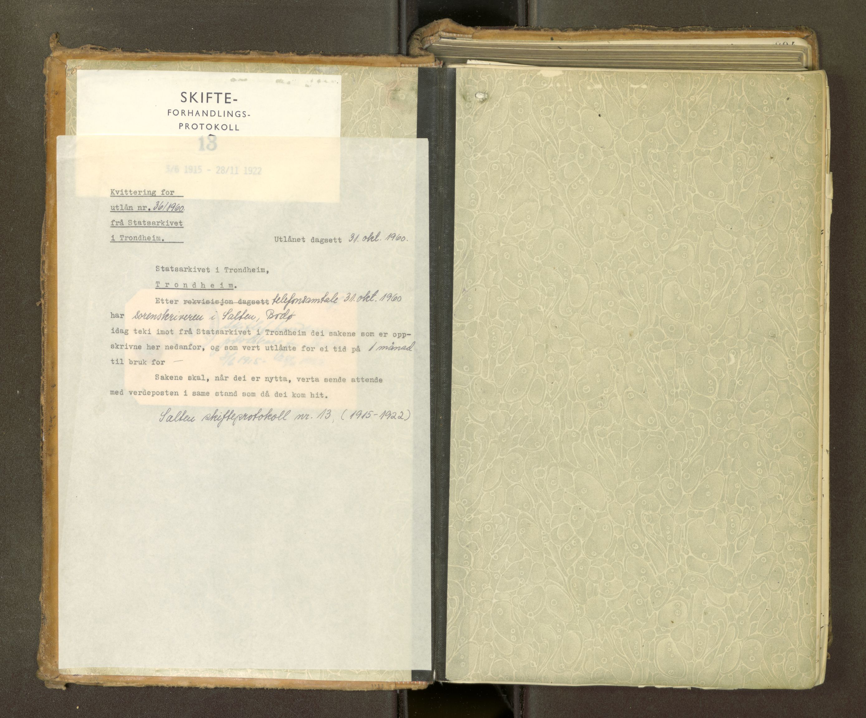 Salten sorenskriveri, SAT/A-4578/1/3/3B/L0013: Skiftebehandlingsprotokoll, 1915-1922