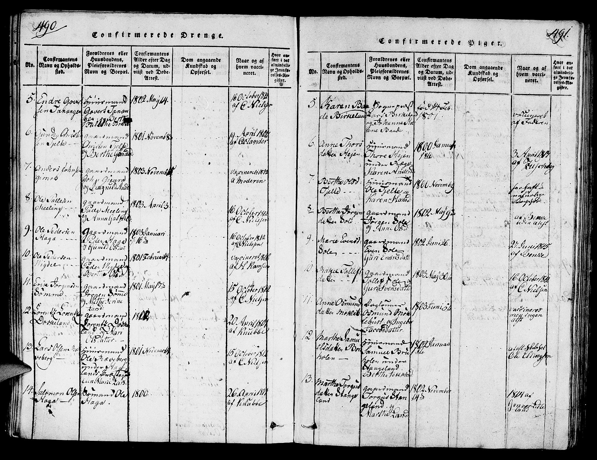 Håland sokneprestkontor, AV/SAST-A-101802/001/30BA/L0004: Parish register (official) no. A 4, 1815-1829, p. 490-491