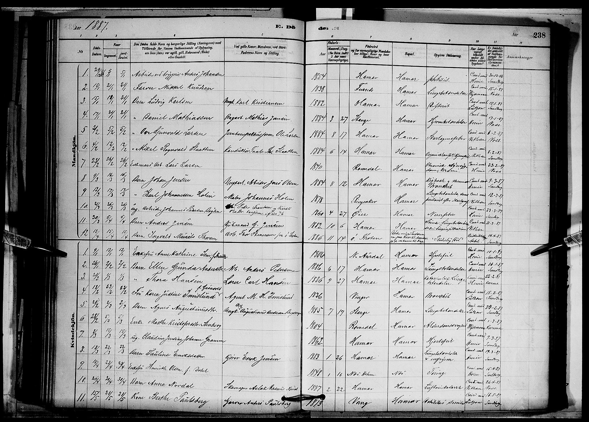 Vang prestekontor, Hedmark, SAH/PREST-008/H/Ha/Hab/L0012: Parish register (copy) no. 12, 1878-1889, p. 238