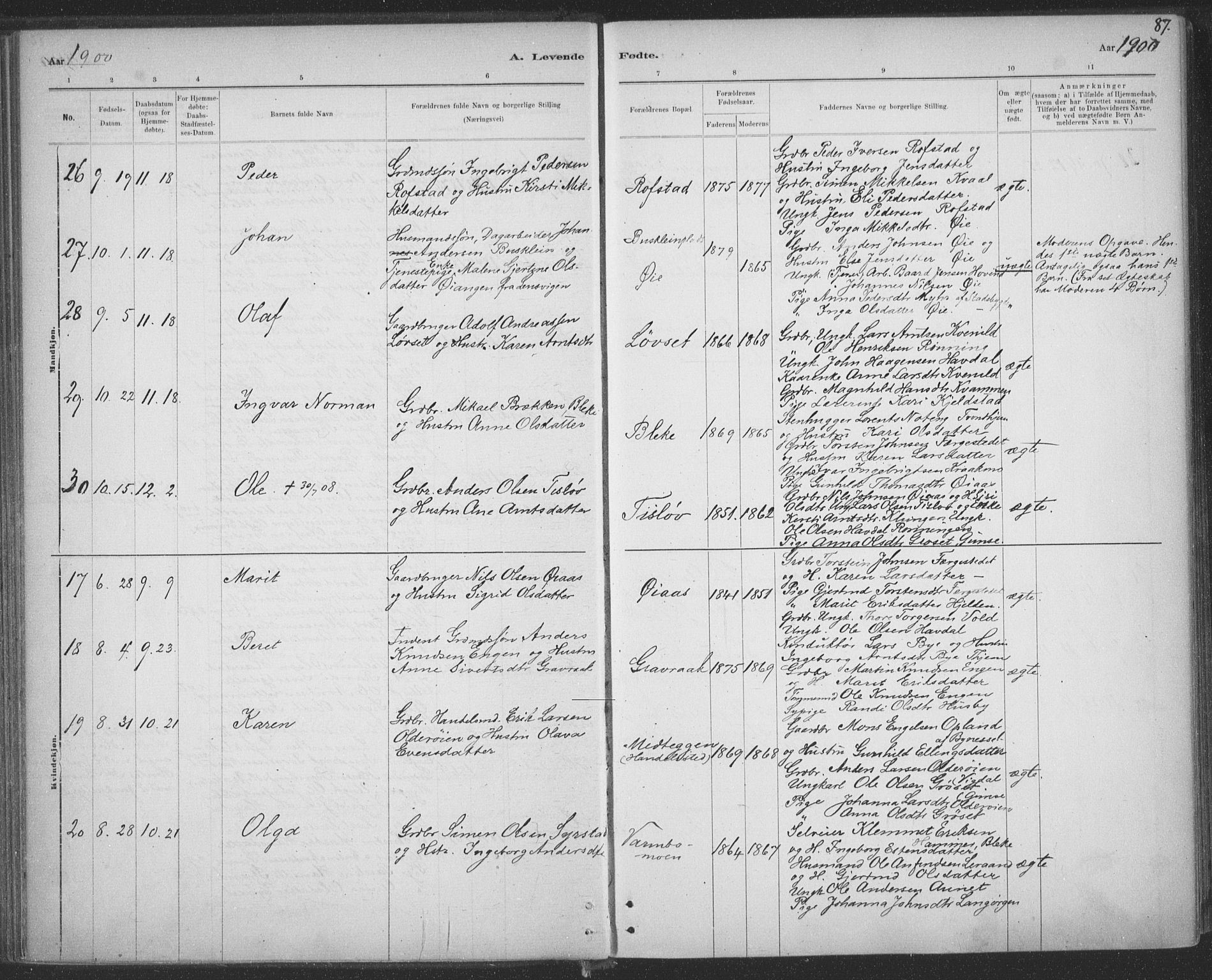 Ministerialprotokoller, klokkerbøker og fødselsregistre - Sør-Trøndelag, AV/SAT-A-1456/691/L1085: Parish register (official) no. 691A17, 1887-1908, p. 87