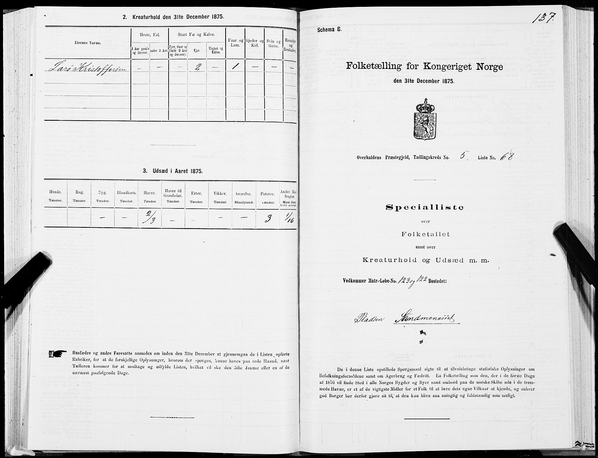 SAT, 1875 census for 1744P Overhalla, 1875, p. 3137