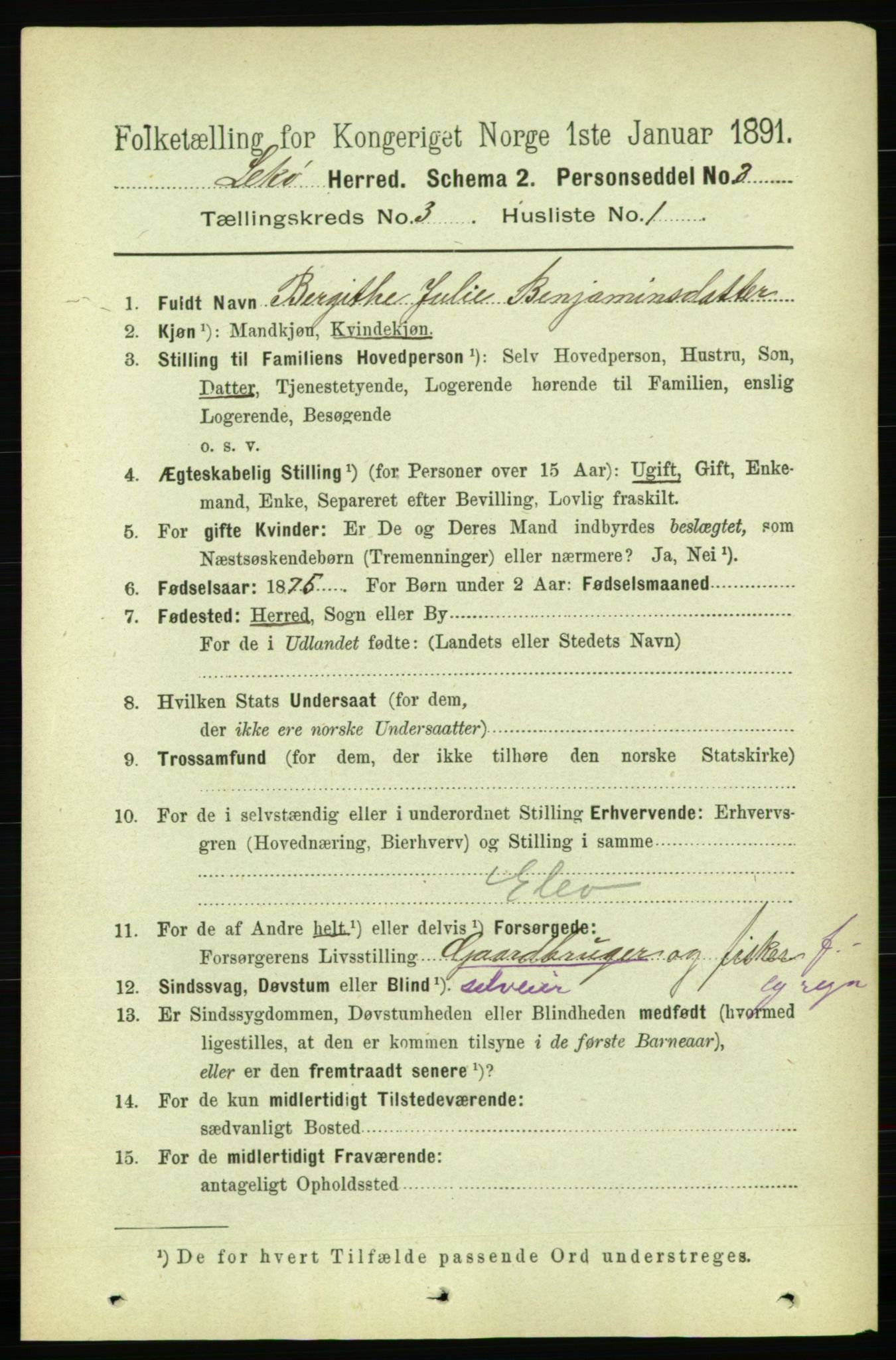 RA, 1891 census for 1755 Leka, 1891, p. 1402