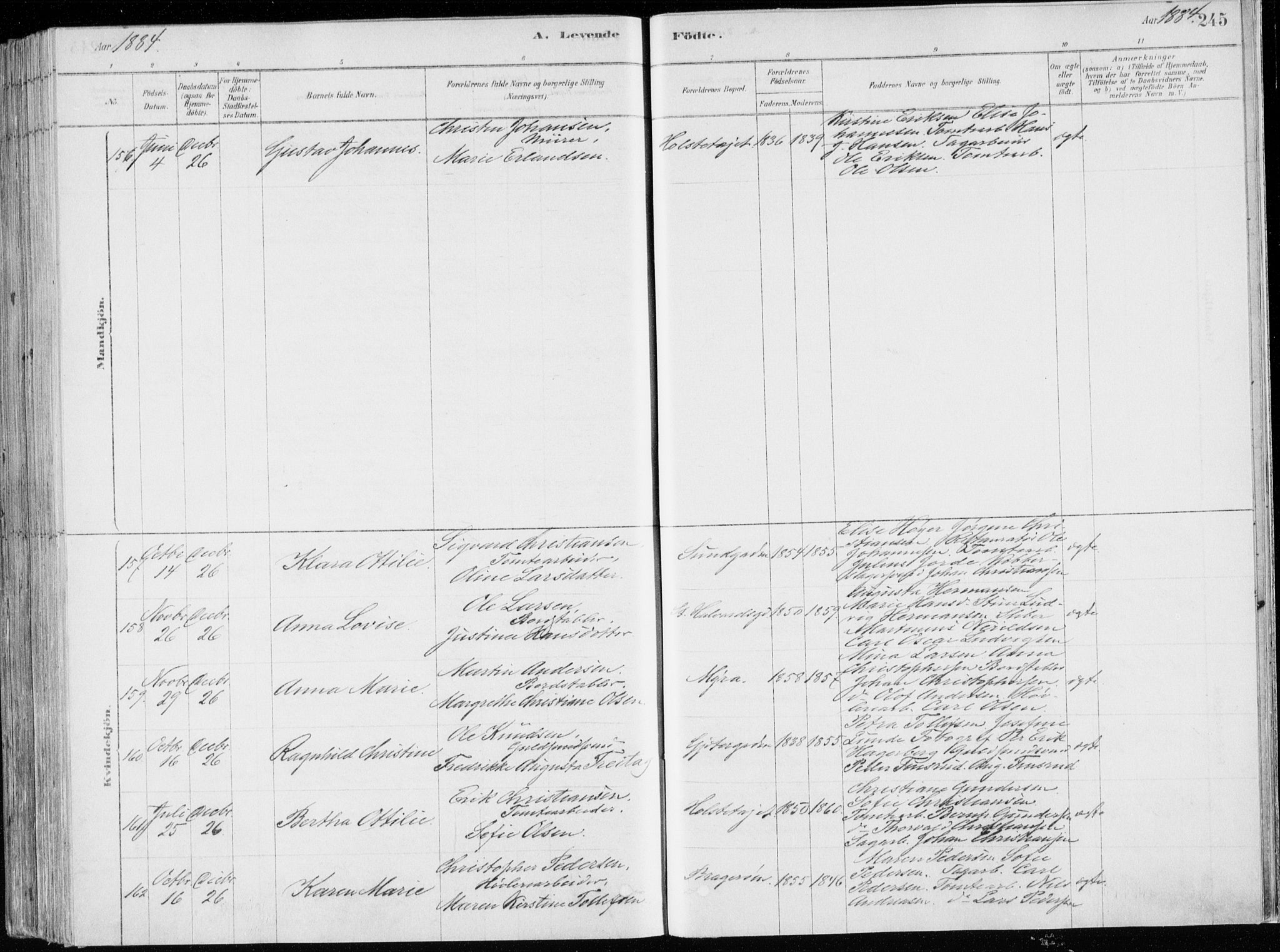 Bragernes kirkebøker, SAKO/A-6/F/Fb/L0006a: Parish register (official) no. II 6A, 1878-1885, p. 245