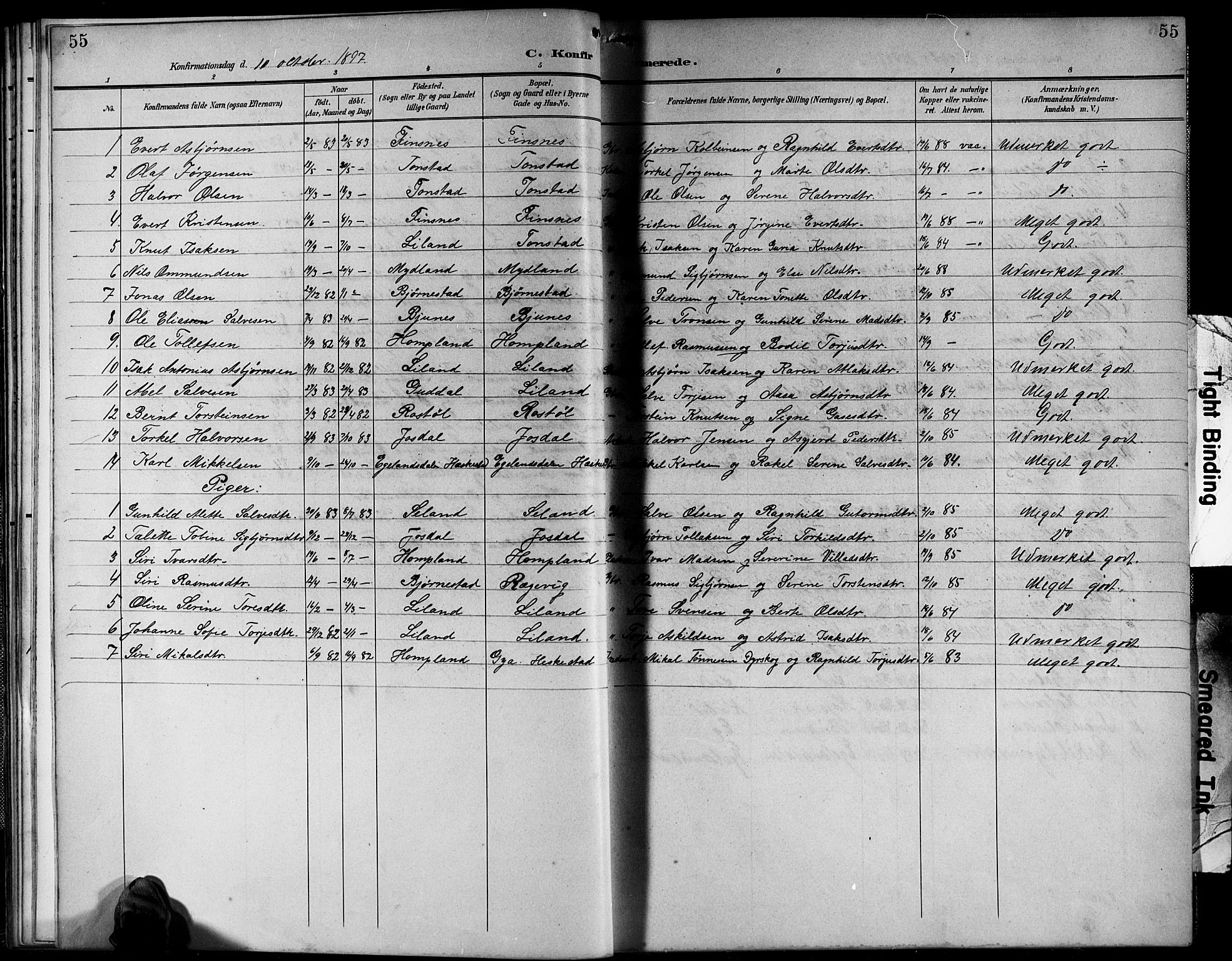 Sirdal sokneprestkontor, SAK/1111-0036/F/Fb/Fbb/L0004: Parish register (copy) no. B 4, 1895-1916, p. 55
