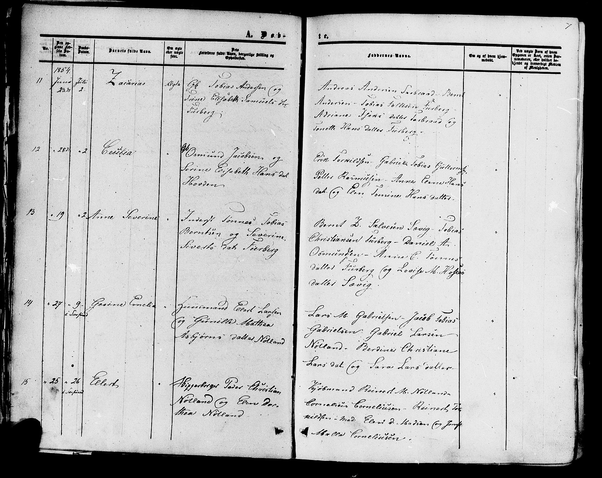 Herad sokneprestkontor, AV/SAK-1111-0018/F/Fa/Fab/L0004: Parish register (official) no. A 4, 1853-1885, p. 7