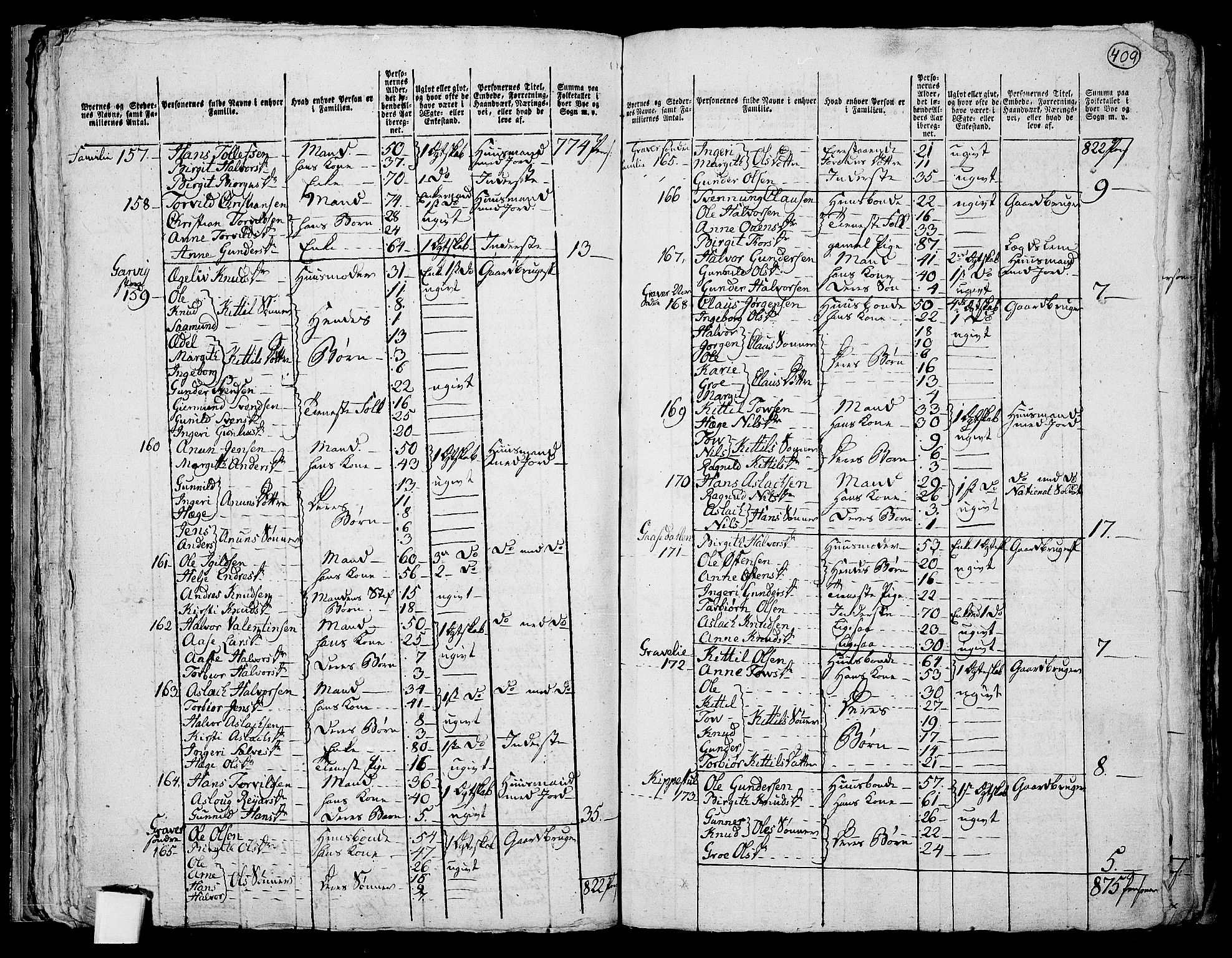 RA, 1801 census for 0828P Seljord, 1801, p. 408b-409a