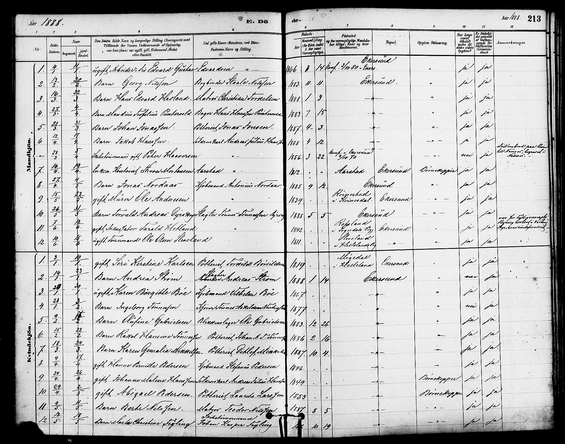 Eigersund sokneprestkontor, SAST/A-101807/S08/L0015: Parish register (official) no. A 15, 1879-1892, p. 213