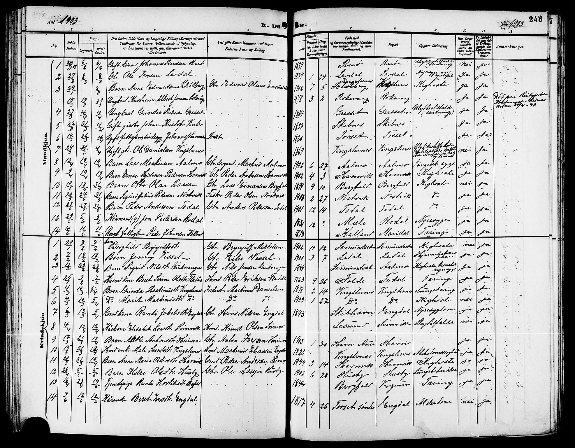 Ministerialprotokoller, klokkerbøker og fødselsregistre - Møre og Romsdal, AV/SAT-A-1454/578/L0910: Parish register (copy) no. 578C03, 1900-1921, p. 243