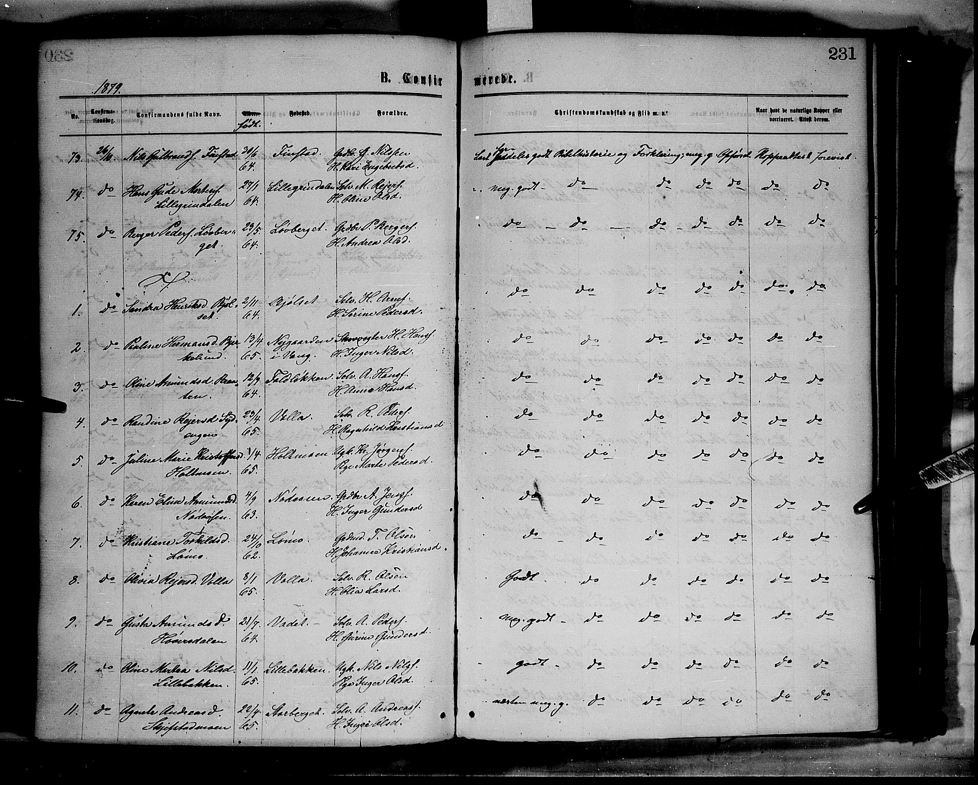 Elverum prestekontor, AV/SAH-PREST-044/H/Ha/Haa/L0011: Parish register (official) no. 11, 1869-1879, p. 231