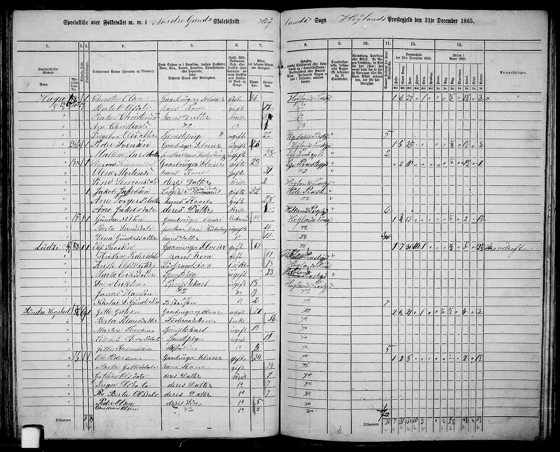 RA, 1865 census for Høyland, 1865, p. 92