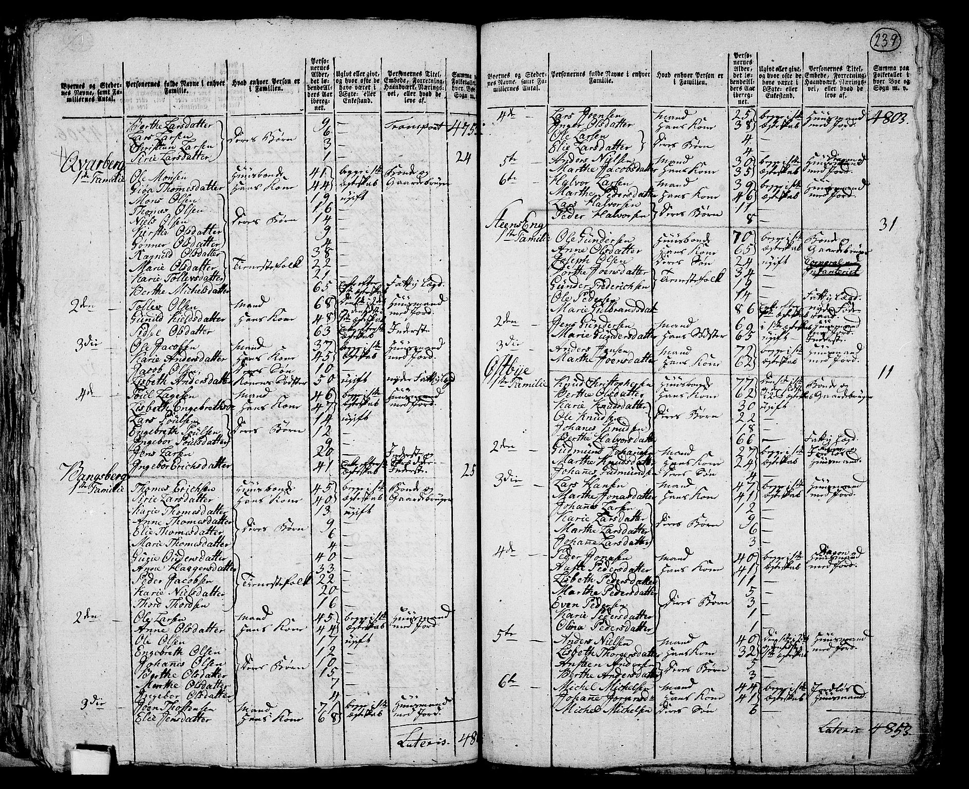 RA, 1801 census for 0412P Ringsaker, 1801, p. 238b-239a