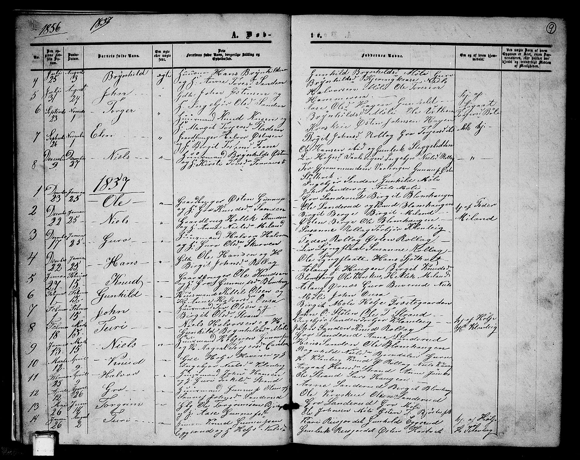 Tinn kirkebøker, SAKO/A-308/G/Gb/L0002: Parish register (copy) no. II 2, 1851-1886, p. 9