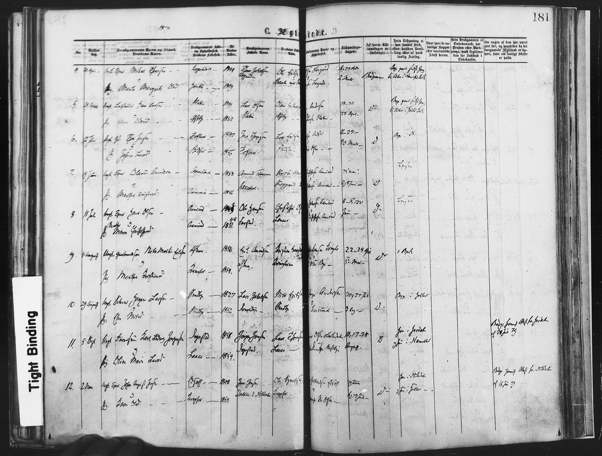 Nannestad prestekontor Kirkebøker, SAO/A-10414a/F/Fa/L0013: Parish register (official) no. I 13, 1873-1880, p. 181
