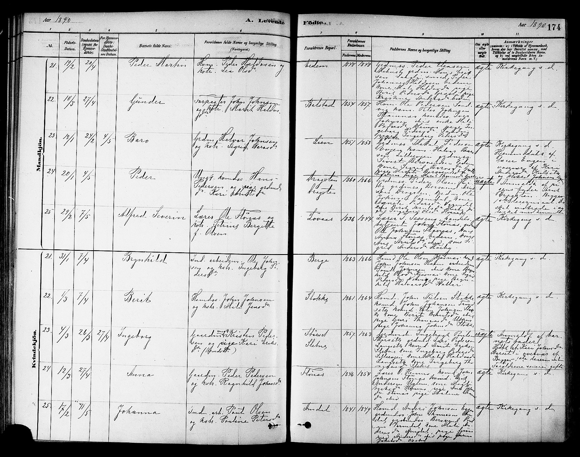 Ministerialprotokoller, klokkerbøker og fødselsregistre - Sør-Trøndelag, AV/SAT-A-1456/695/L1148: Parish register (official) no. 695A08, 1878-1891, p. 174