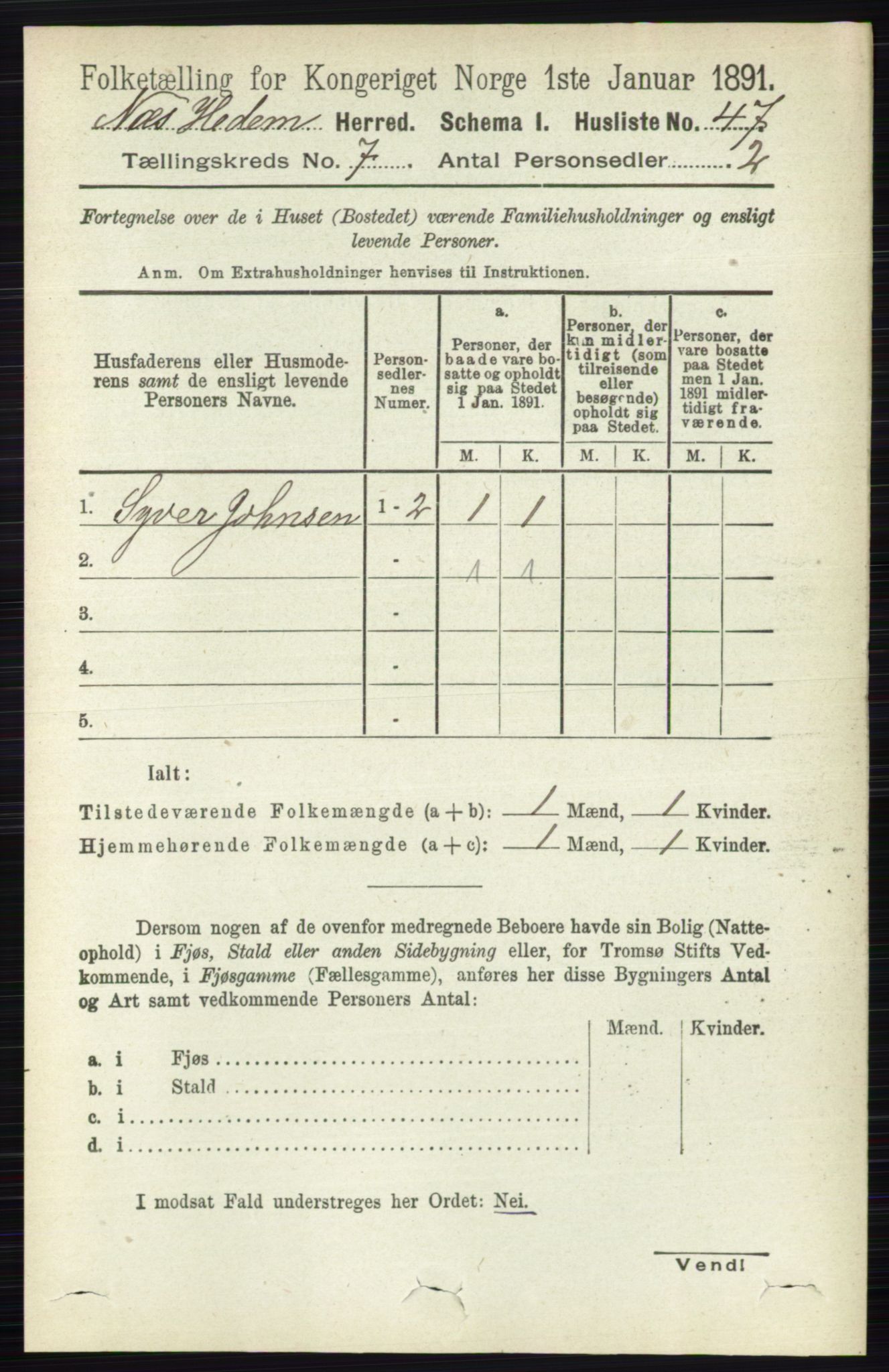 RA, 1891 census for 0411 Nes, 1891, p. 3875