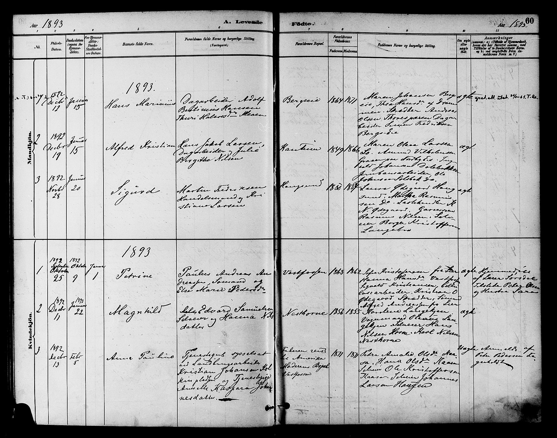 Eiker kirkebøker, SAKO/A-4/F/Fb/L0002: Parish register (official) no. II 2, 1889-1896, p. 60