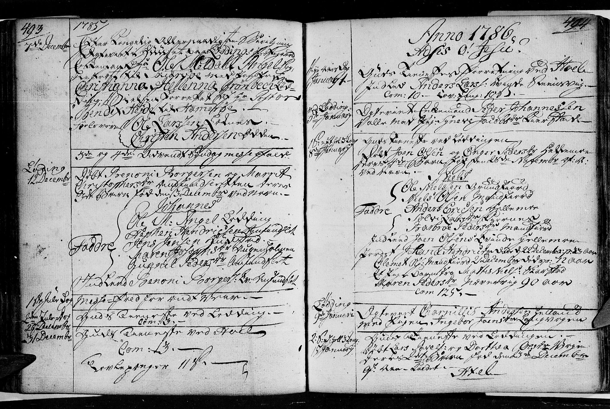 Ministerialprotokoller, klokkerbøker og fødselsregistre - Nordland, SAT/A-1459/872/L1029: Parish register (official) no. 872A04, 1765-1787, p. 493-494