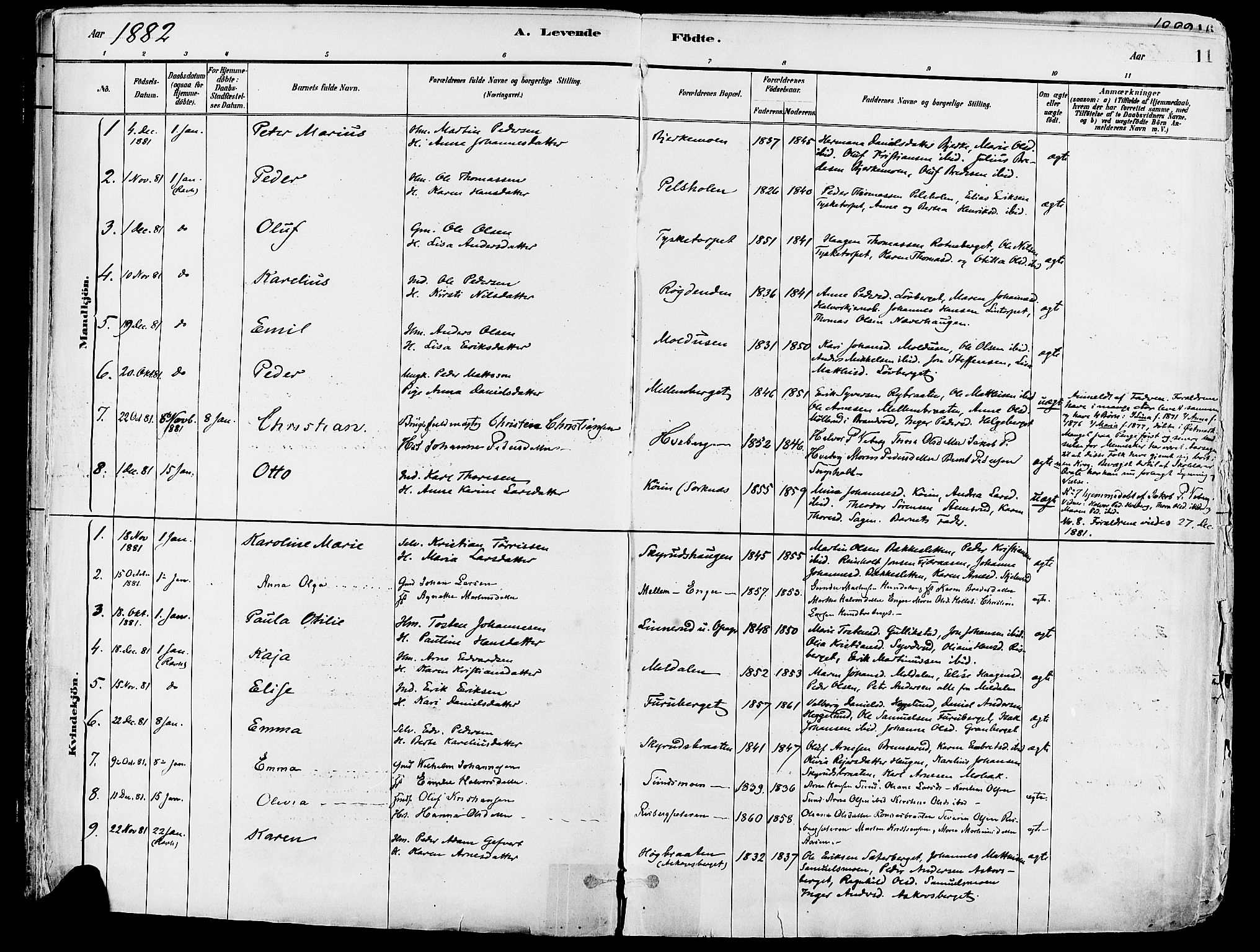 Grue prestekontor, AV/SAH-PREST-036/H/Ha/Haa/L0012: Parish register (official) no. 12, 1881-1897, p. 11