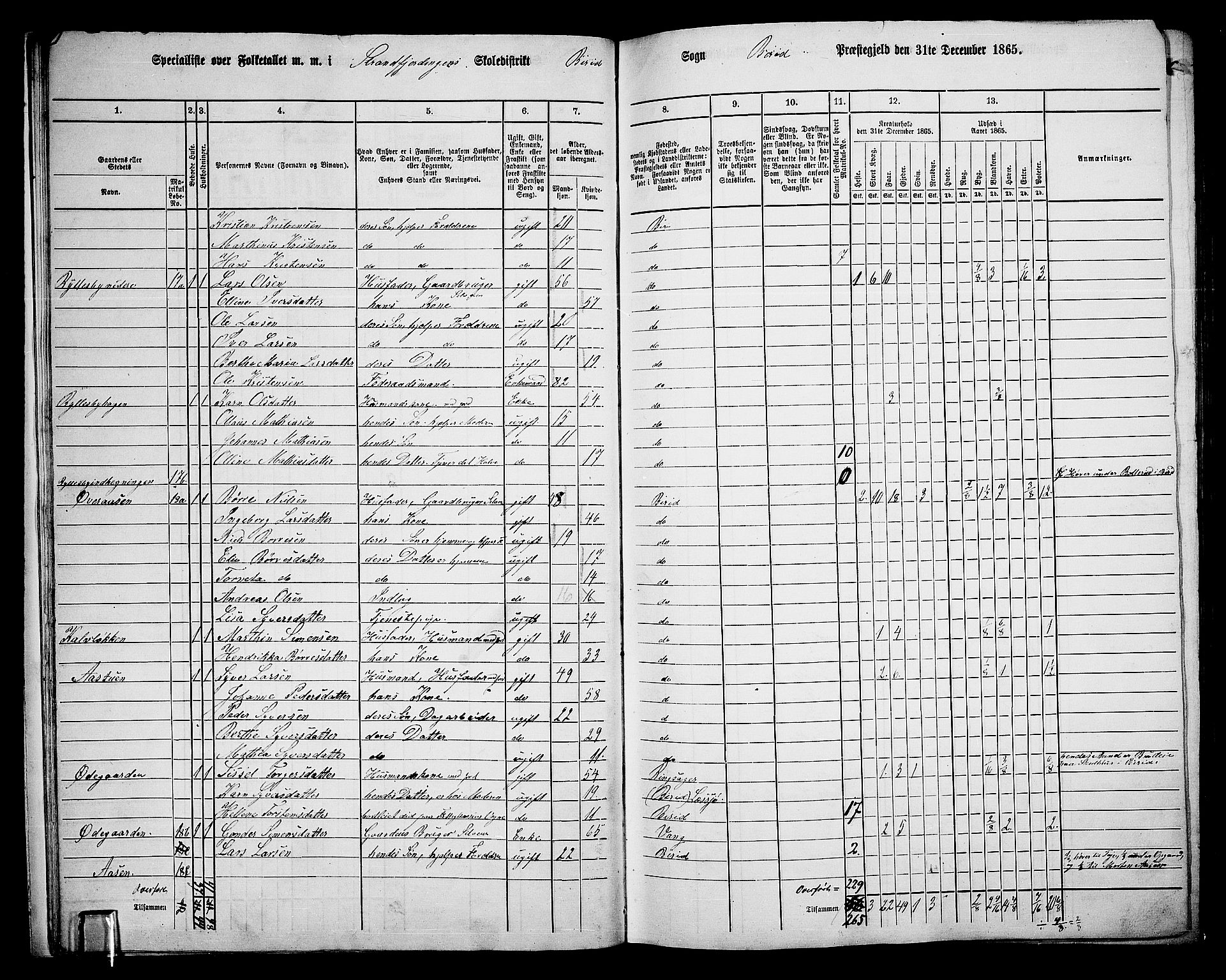 RA, 1865 census for Biri, 1865, p. 19