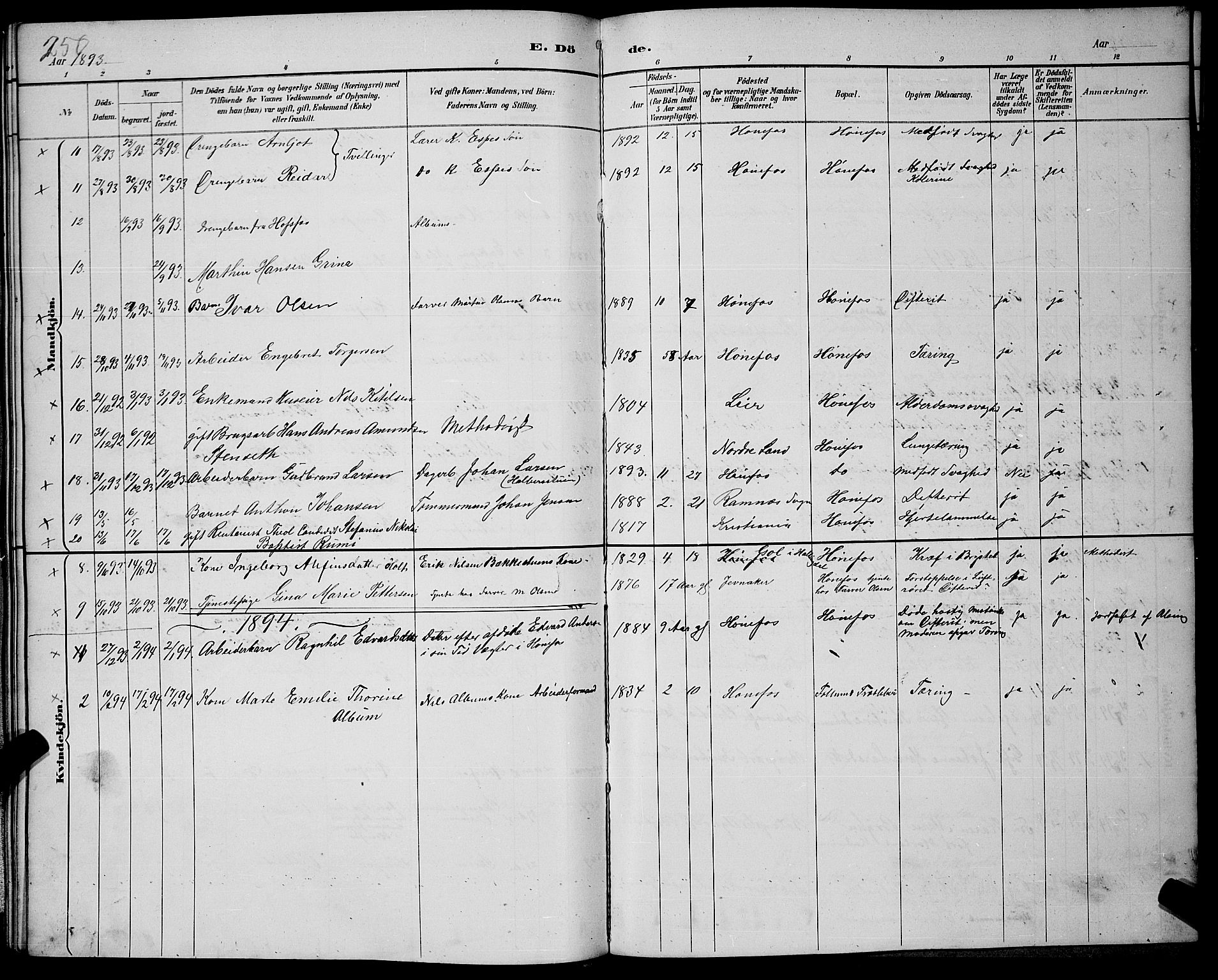 Hønefoss kirkebøker, SAKO/A-609/G/Ga/L0002: Parish register (copy) no. 2, 1888-1904