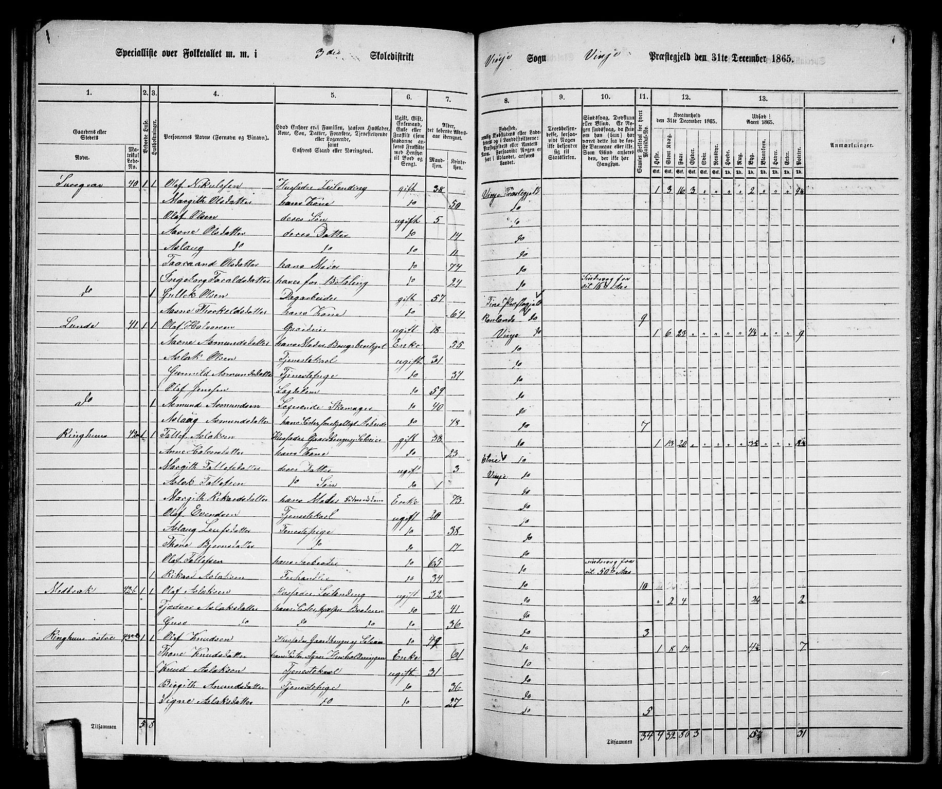 RA, 1865 census for Vinje, 1865, p. 28