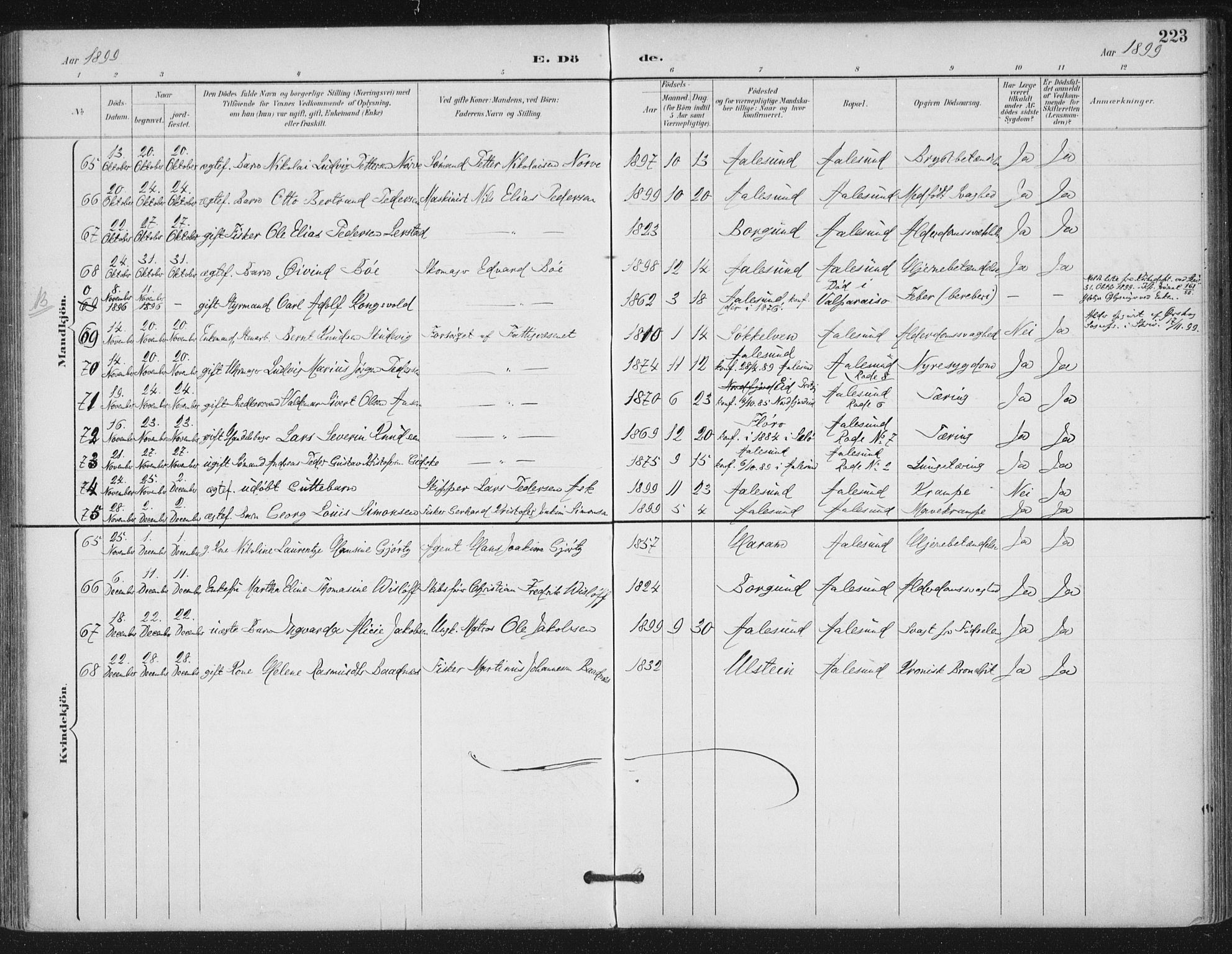 Ministerialprotokoller, klokkerbøker og fødselsregistre - Møre og Romsdal, AV/SAT-A-1454/529/L0457: Parish register (official) no. 529A07, 1894-1903, p. 223